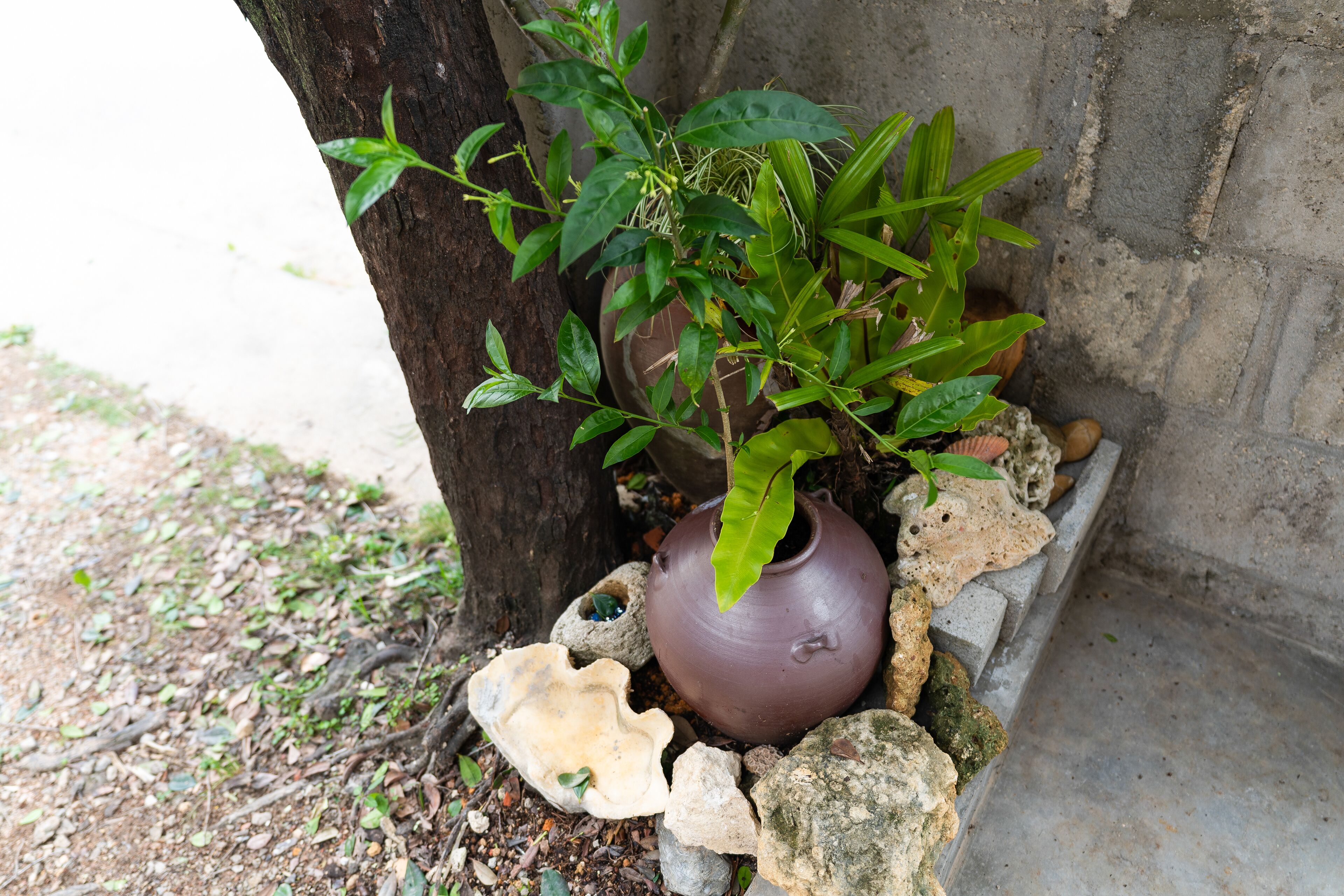 Vacation Rental Okinawa Nanatsu Boshi