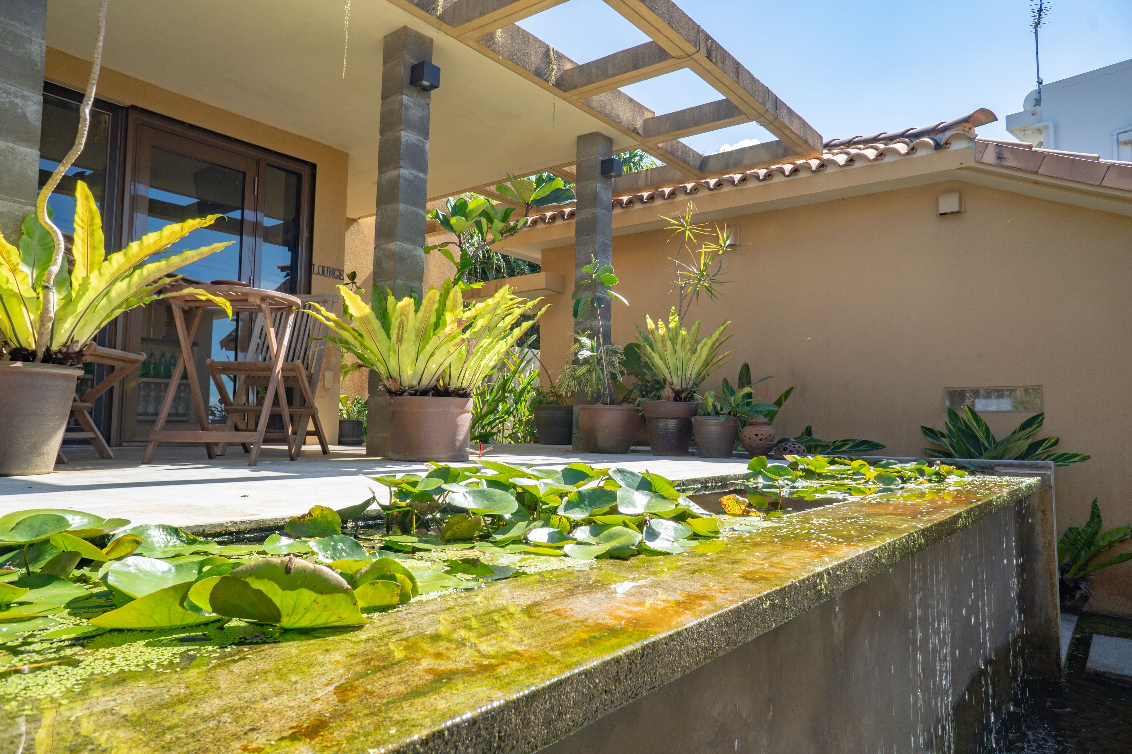 Kouriisland Hotel Cava