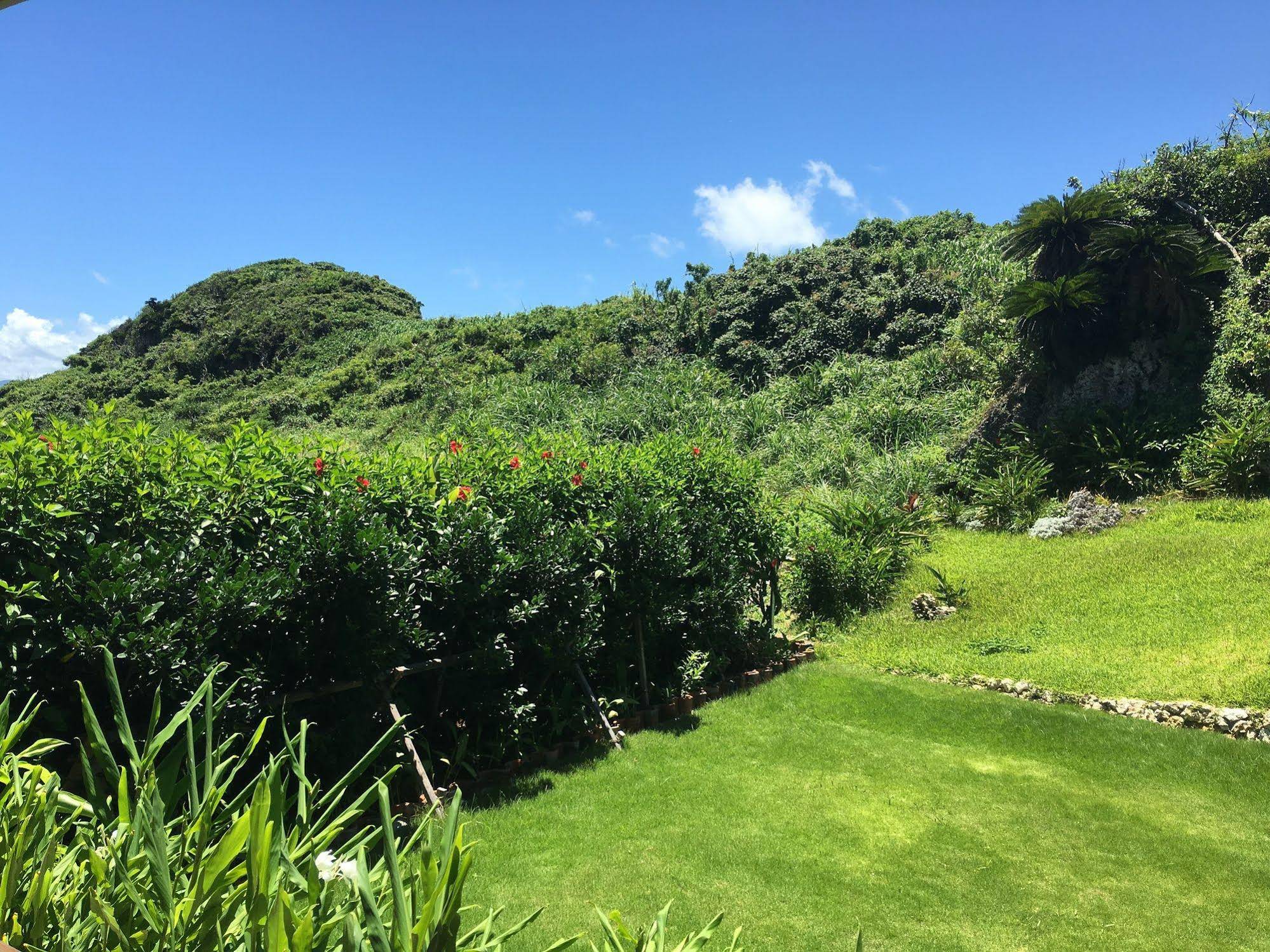 La Casita Kouri