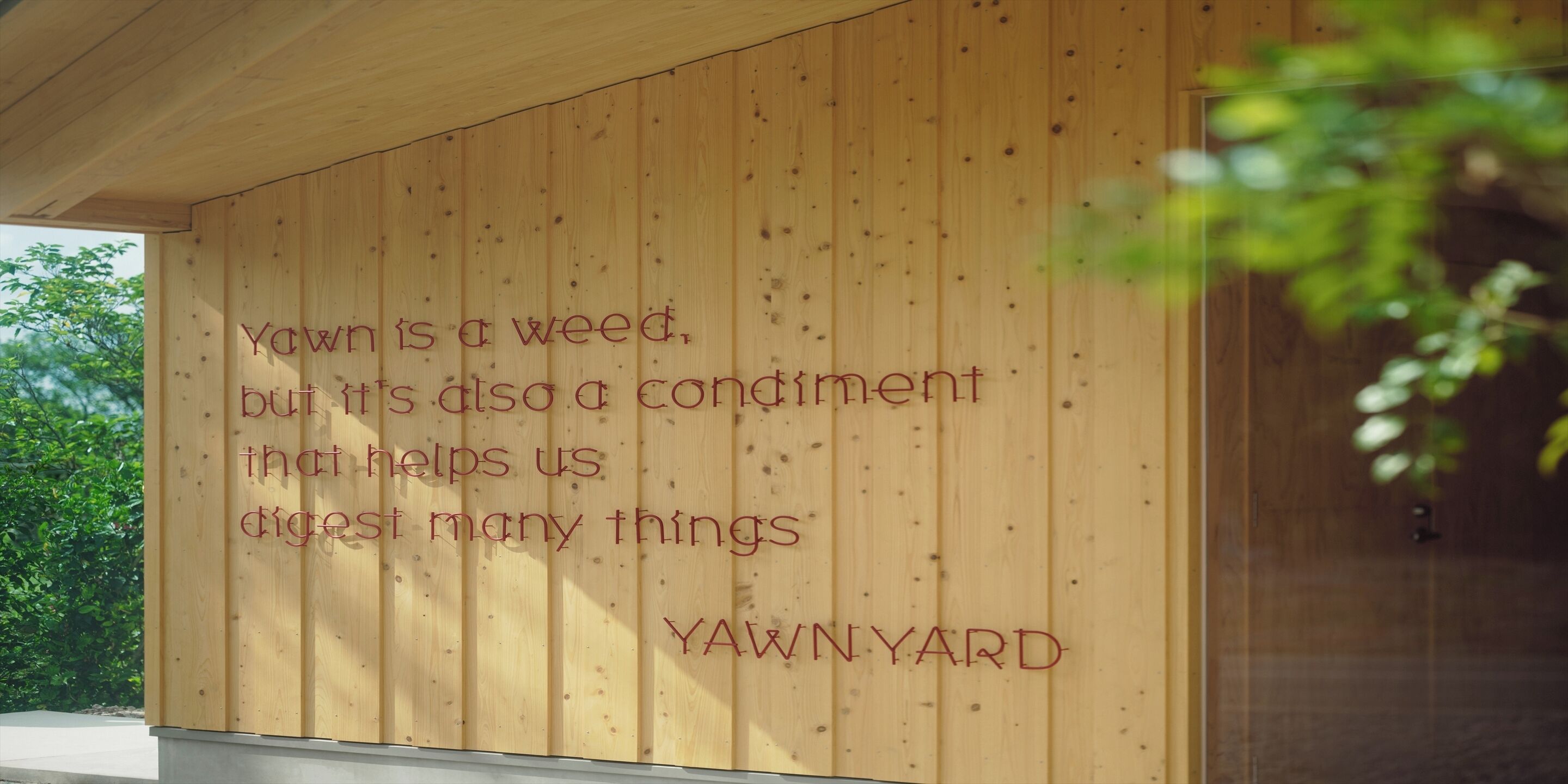 Yawn Yard Kouri Island