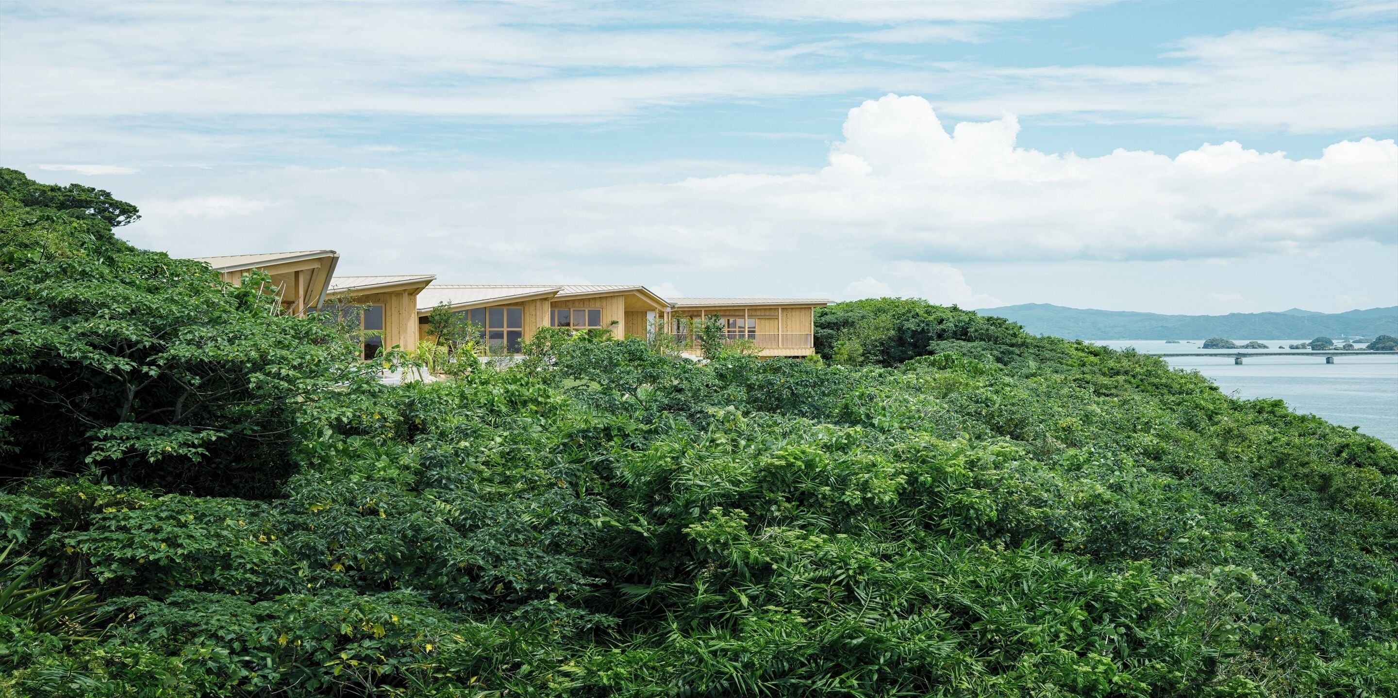 Yawn Yard Kouri Island