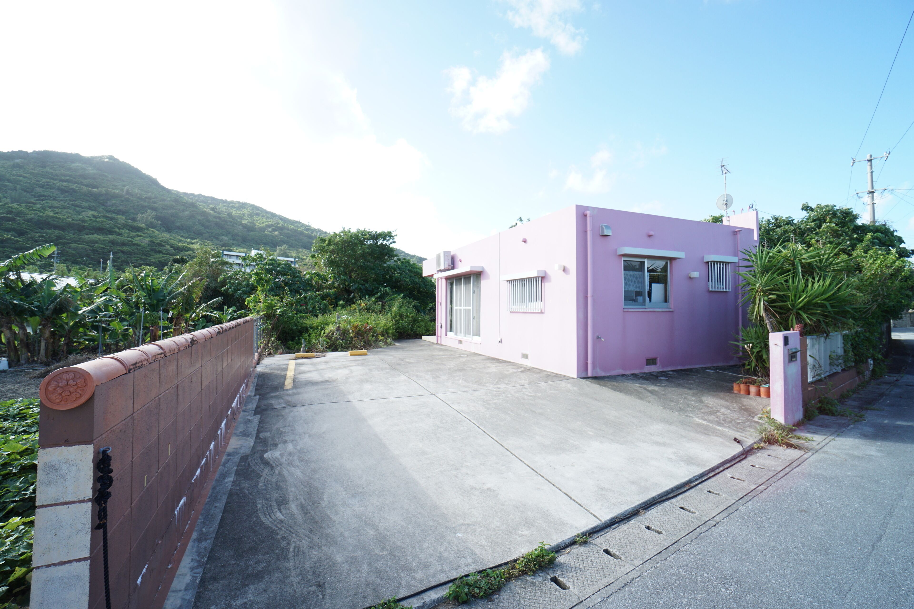 Pink Suite House