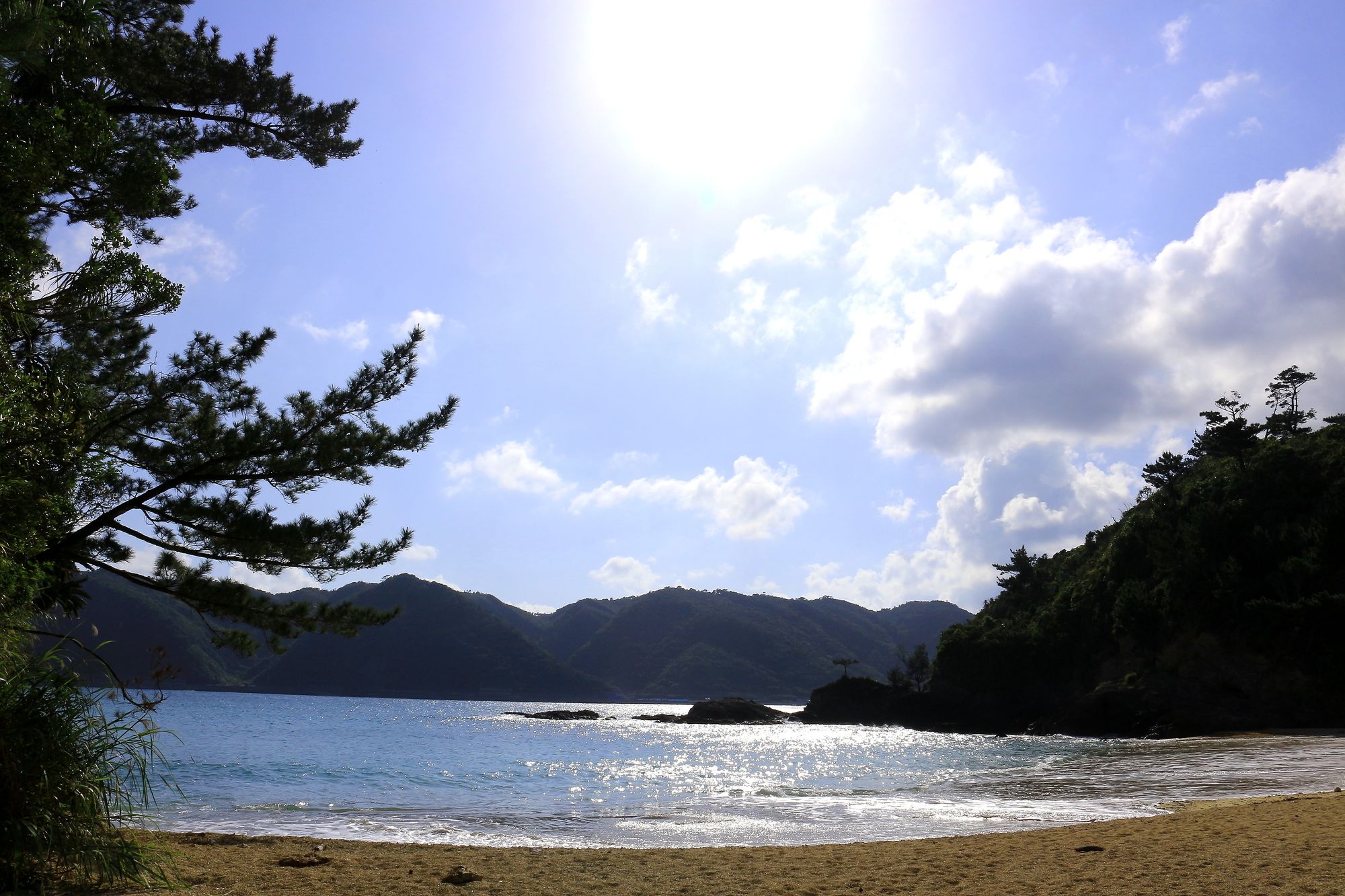 Cottage Tingara