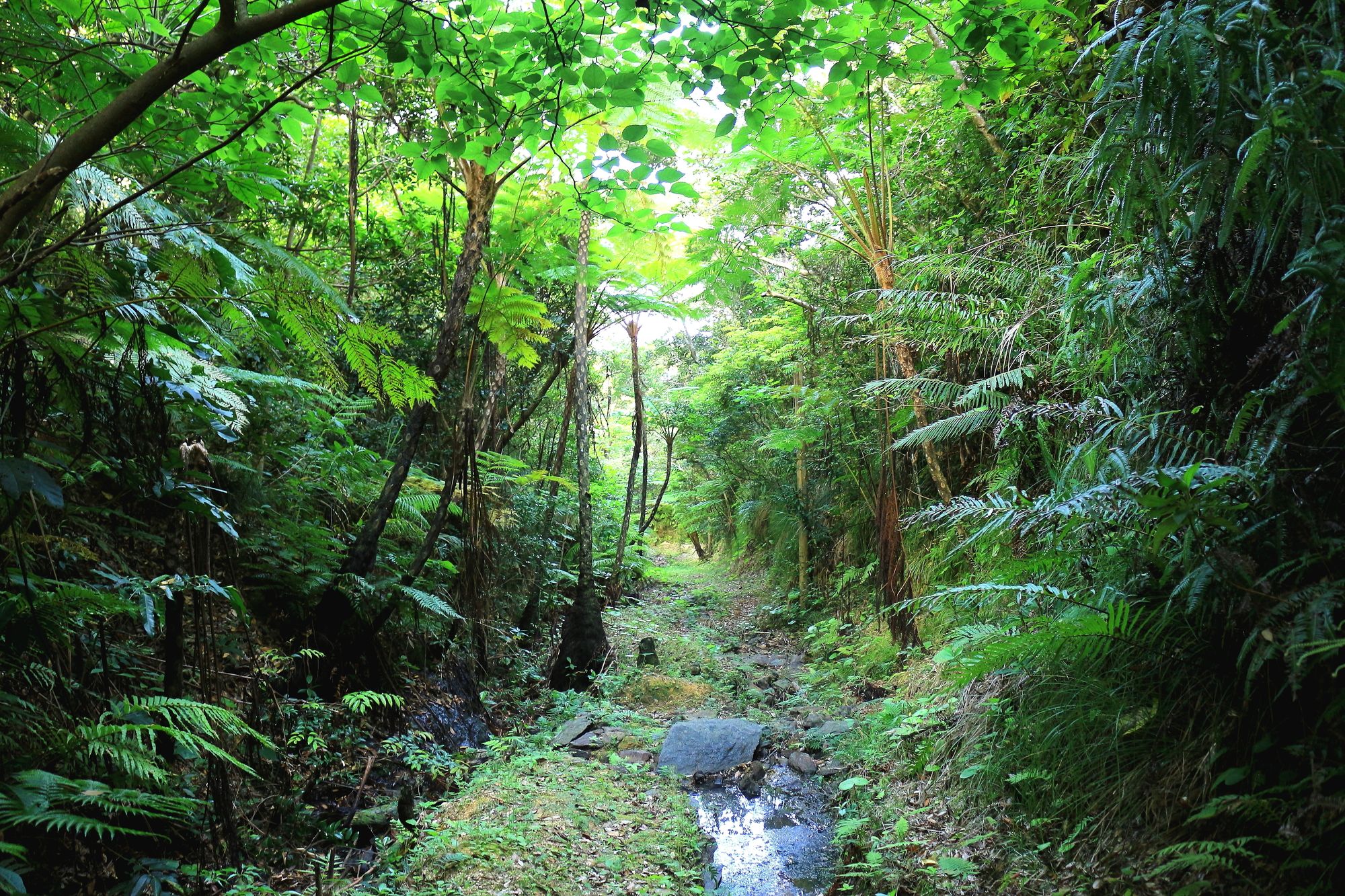 Cottage Tingara