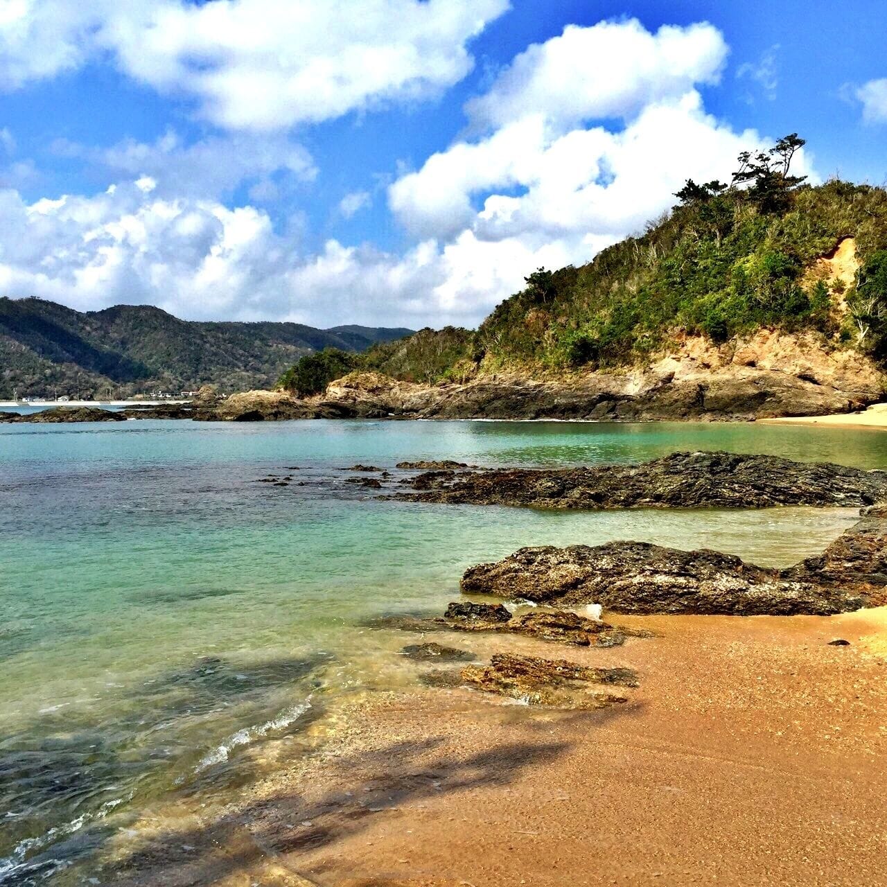 Cottage Tingara