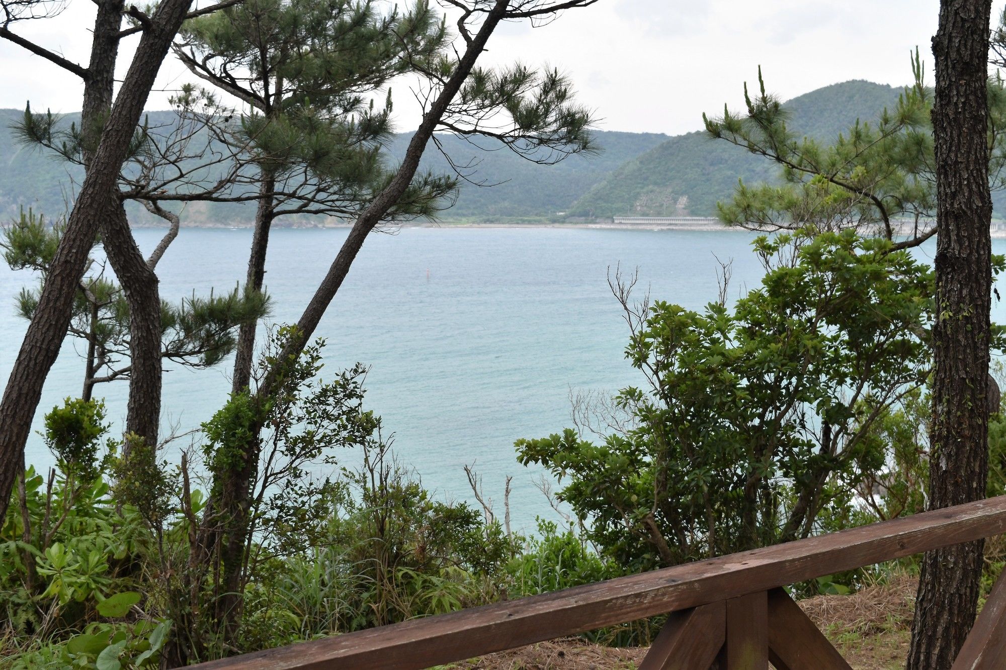 Cottage Tingara