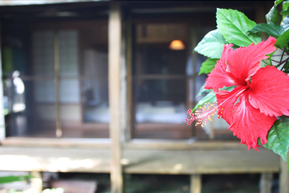 Kominka Yuumi House-Hostel