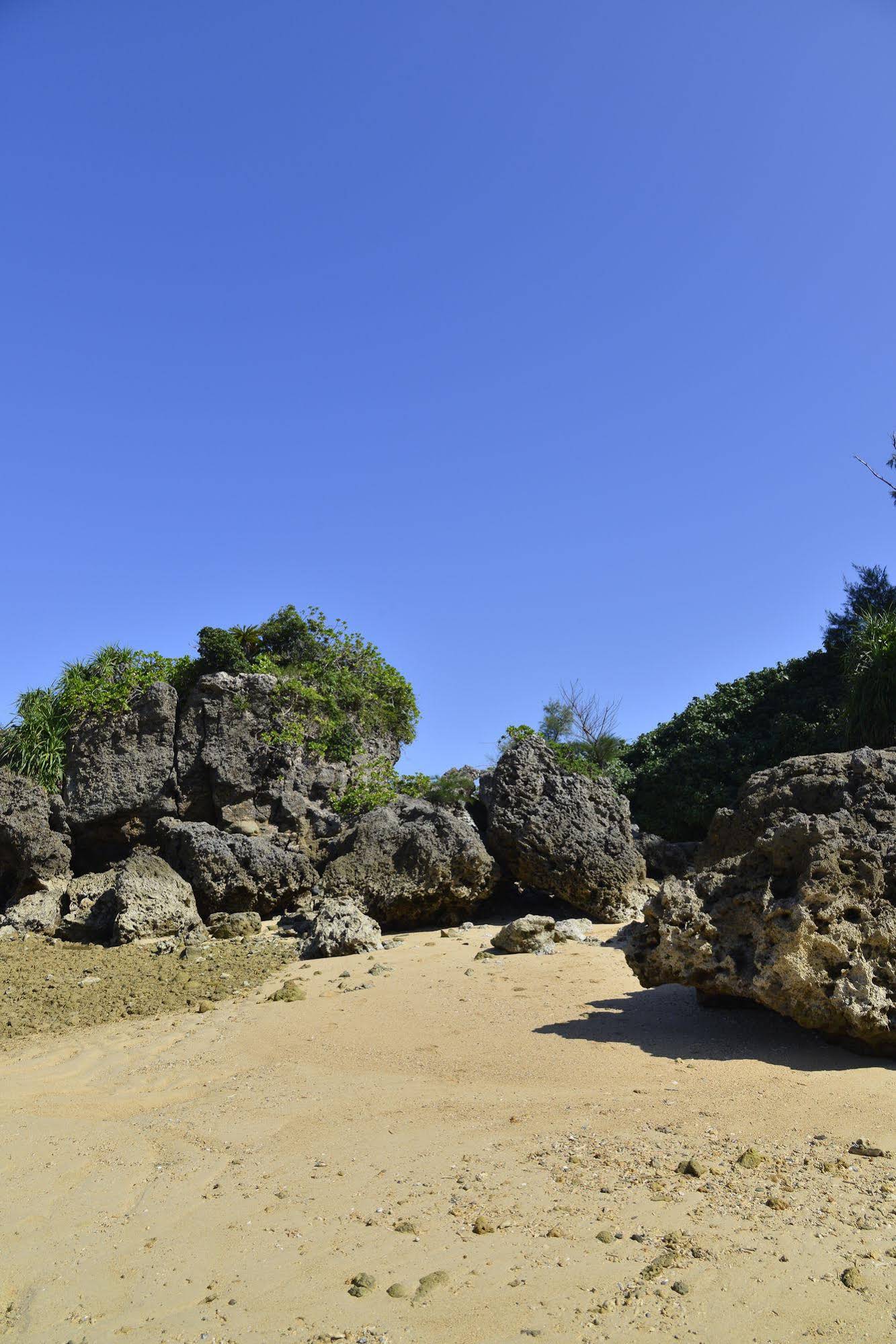 Maeda Biru House