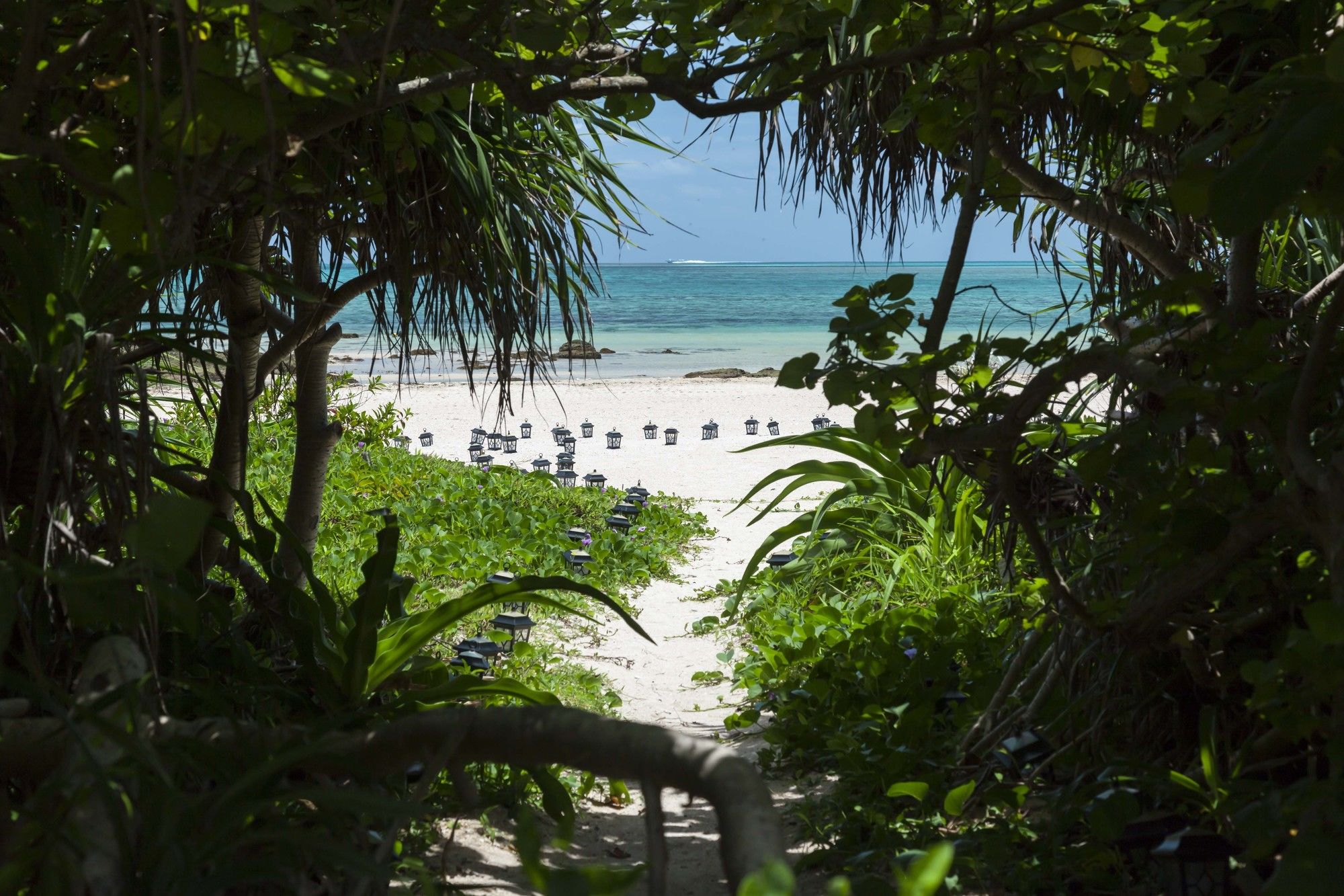 Hotel Allamanda Kohamajima