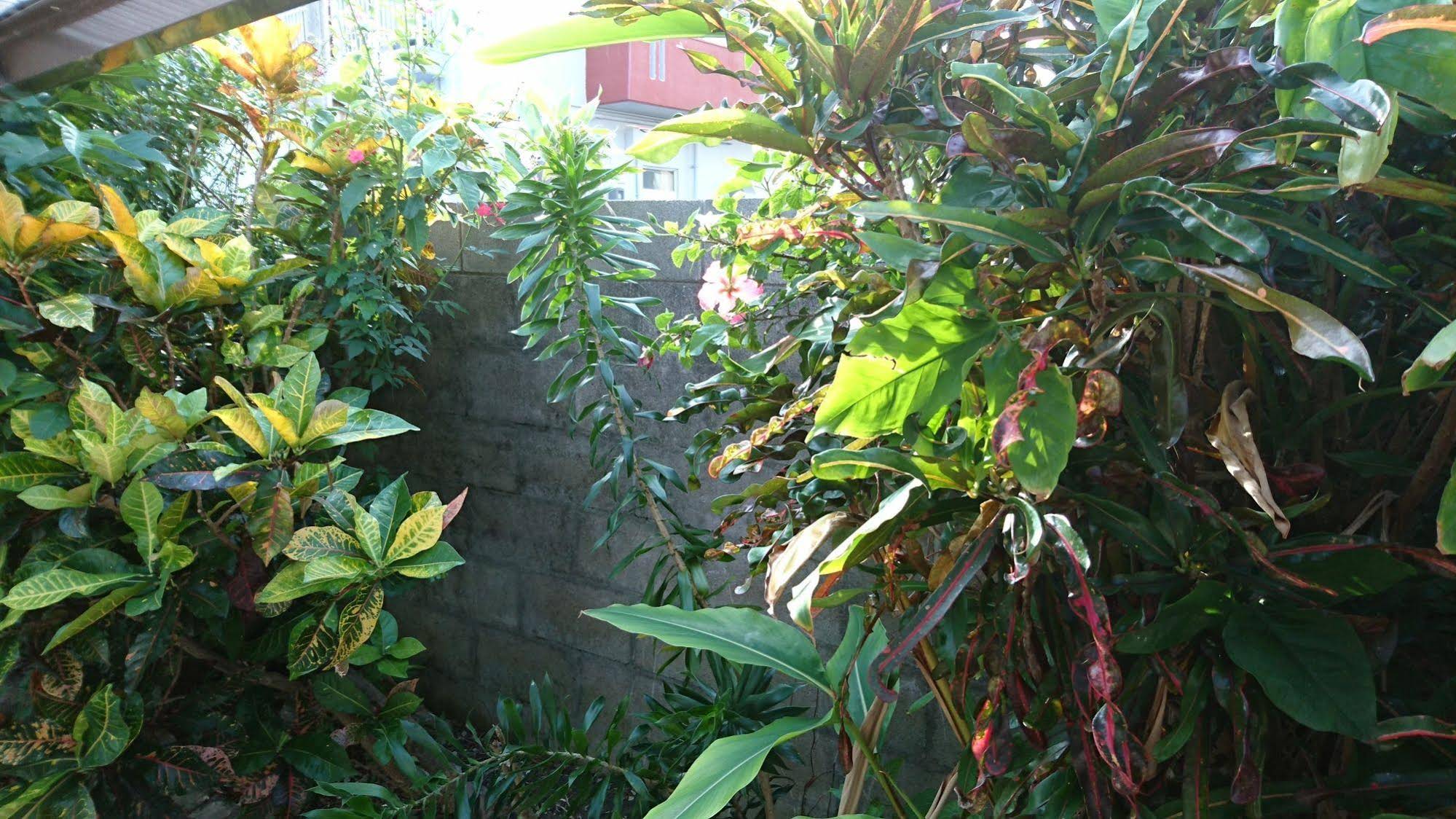 Guest House Nakayamagwa
