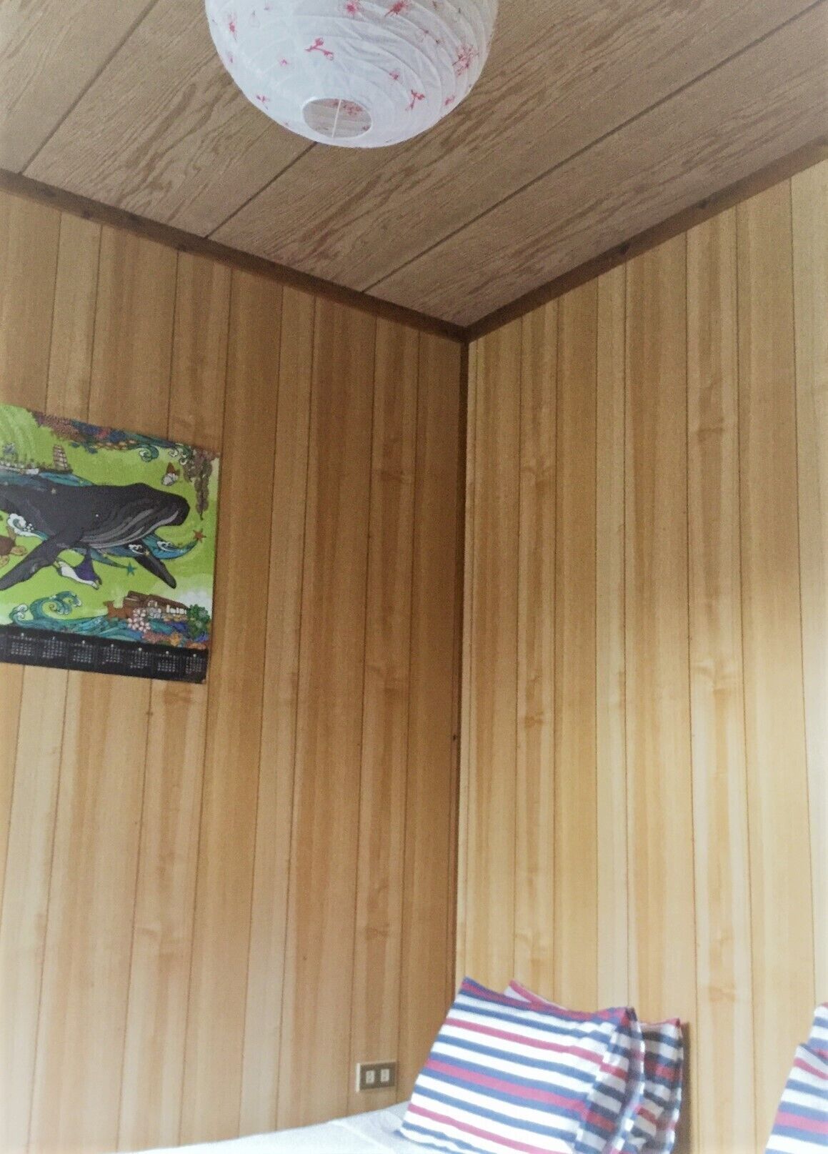 Homestay Kucha