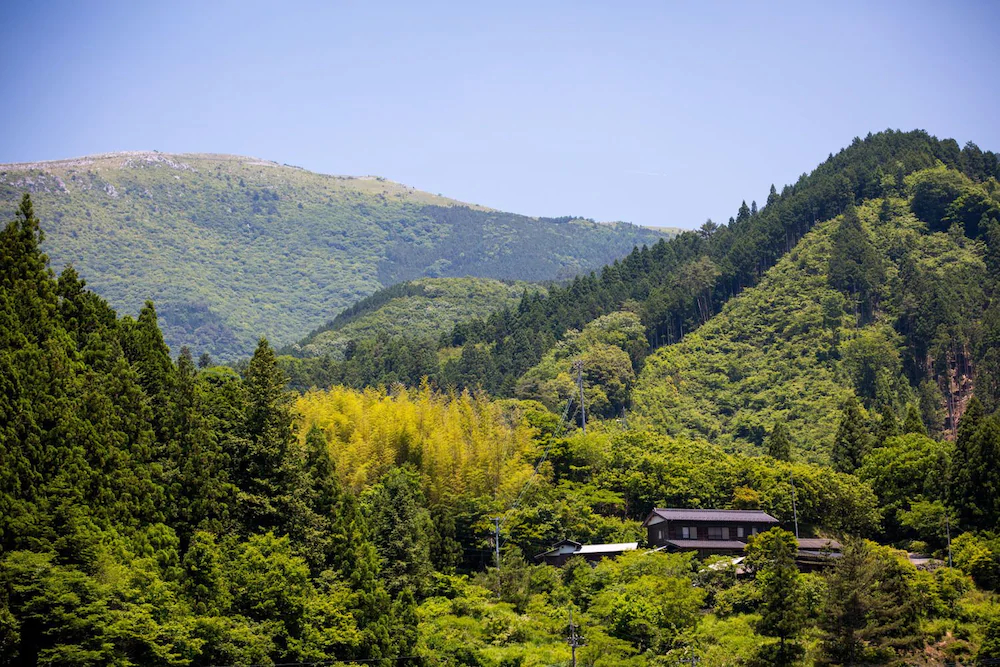 Washi Studio Kamikoya