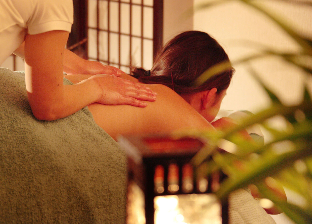 Shunsai No Yado Seasonal Inn Ryokusuitei