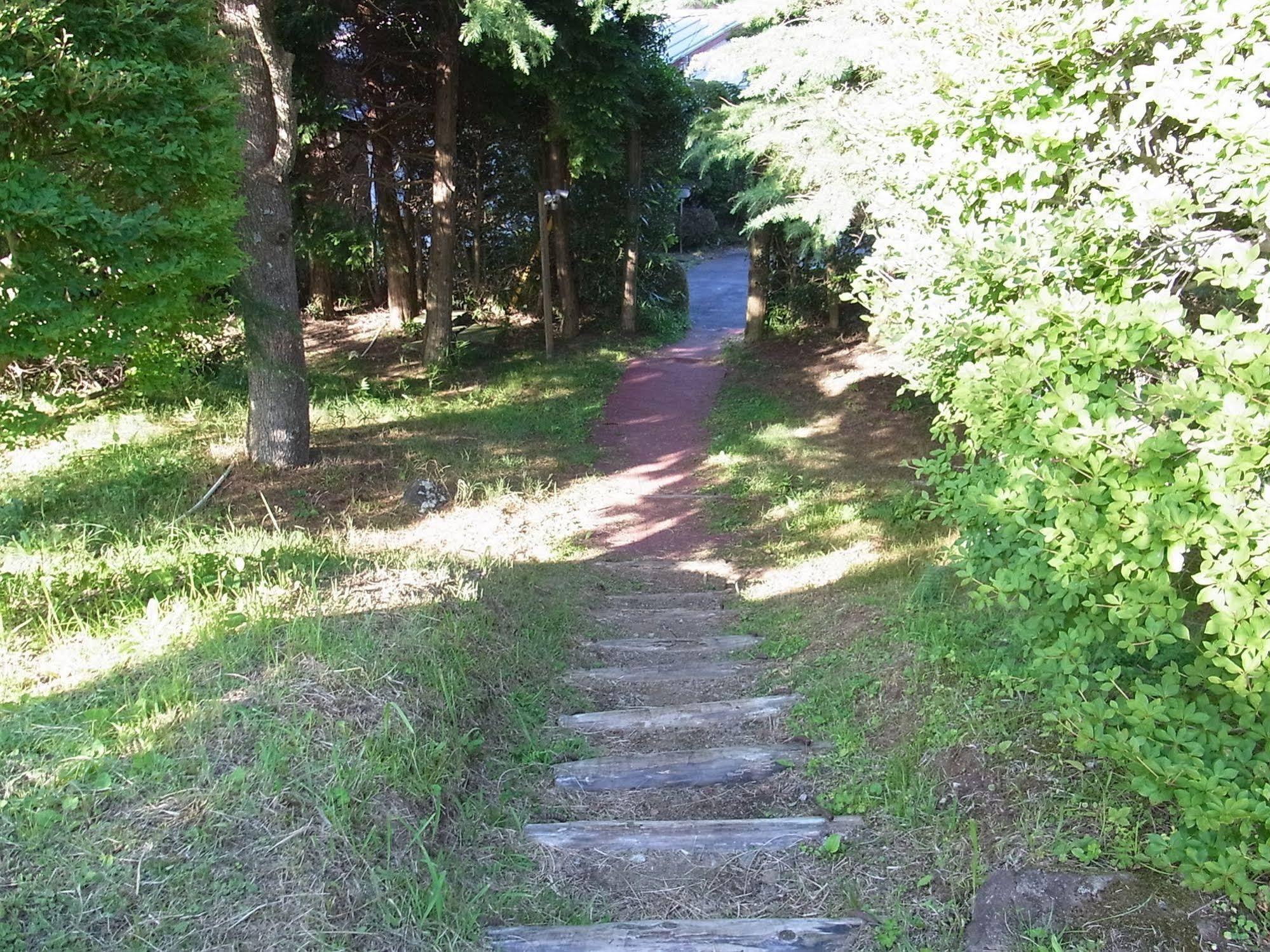 Fuji-Hakone Guest House