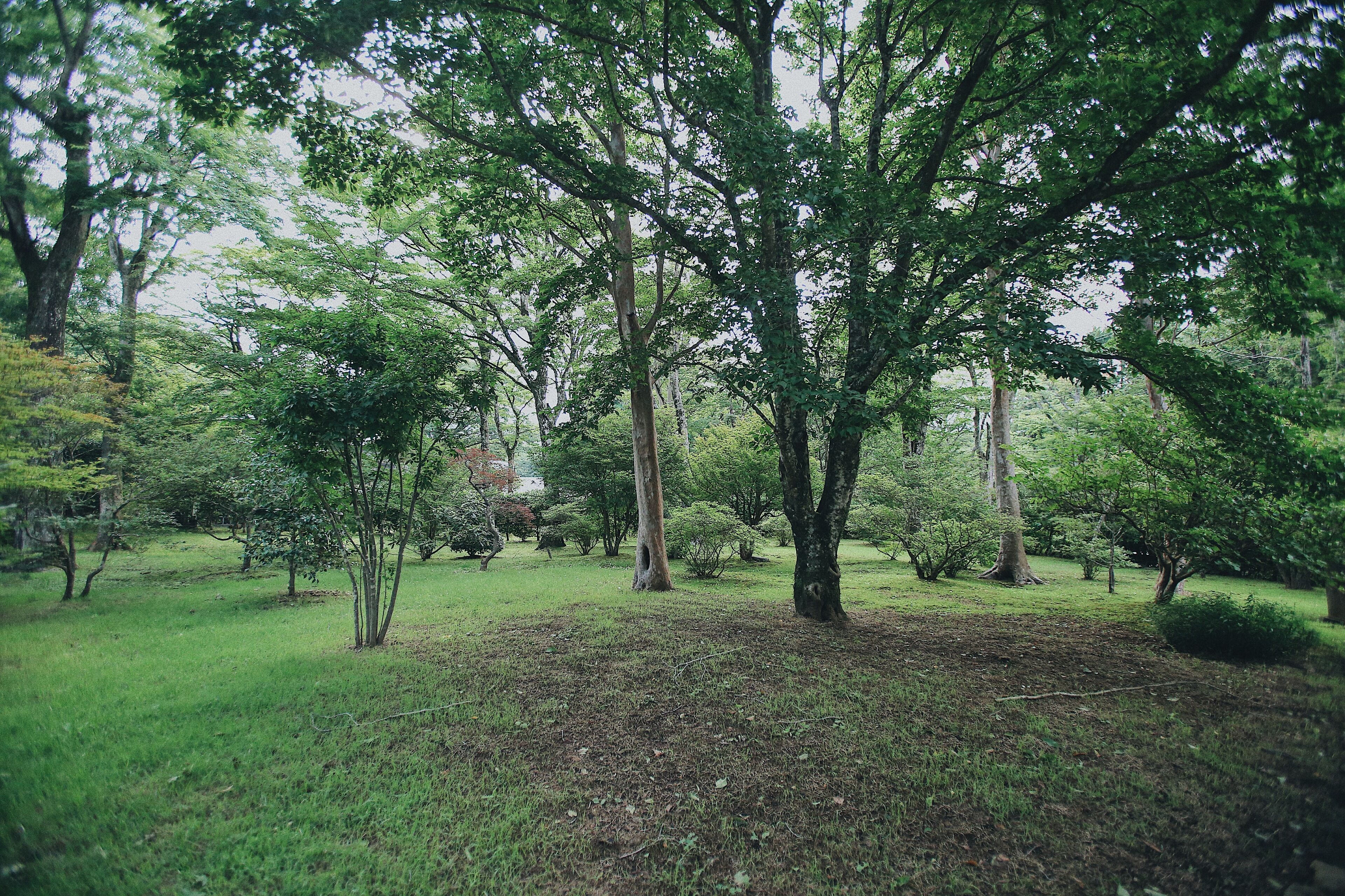Hakone Man Rai Private Villa & Garden