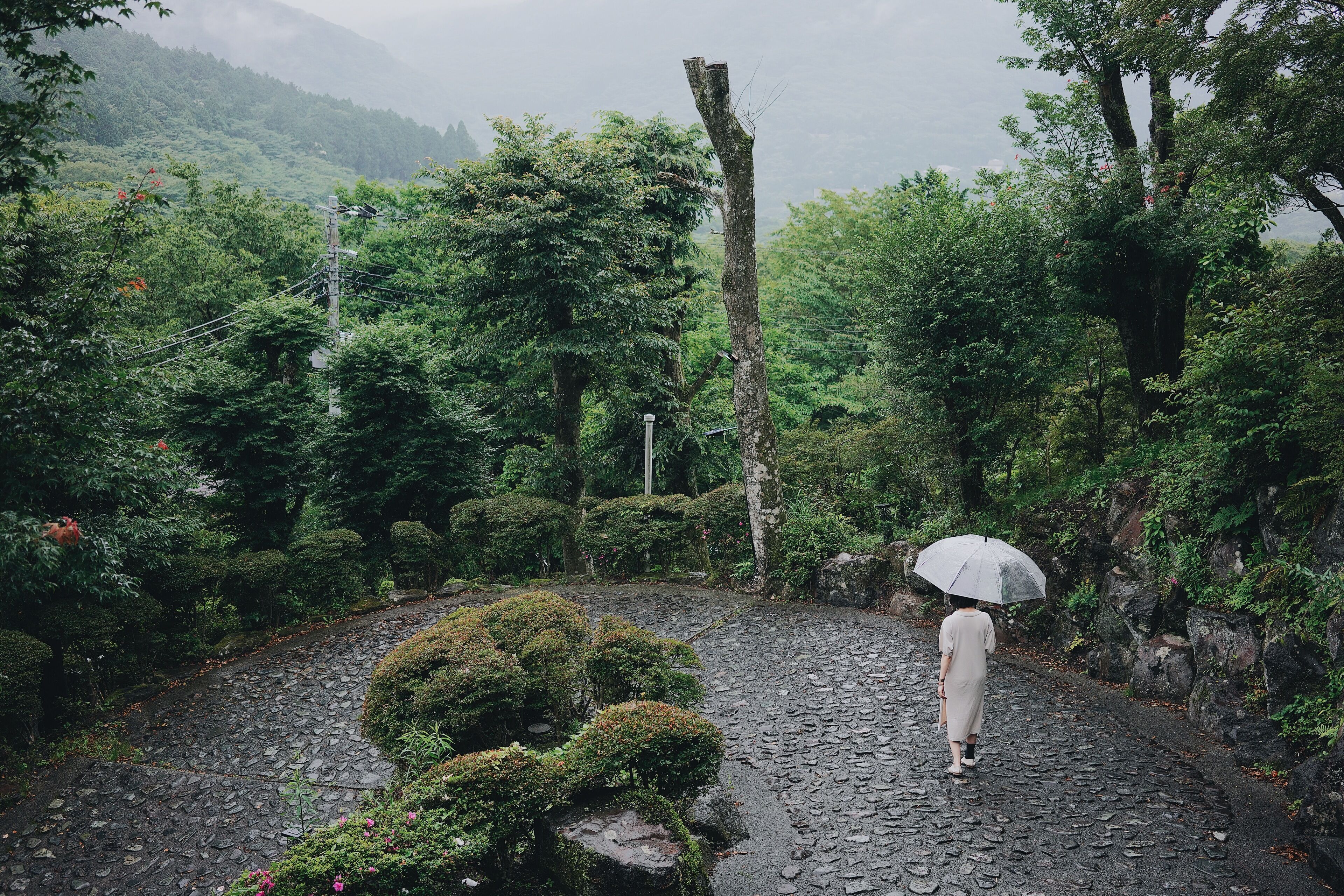 Hakone Sky Hill Private Nature Villas & Hotsprings