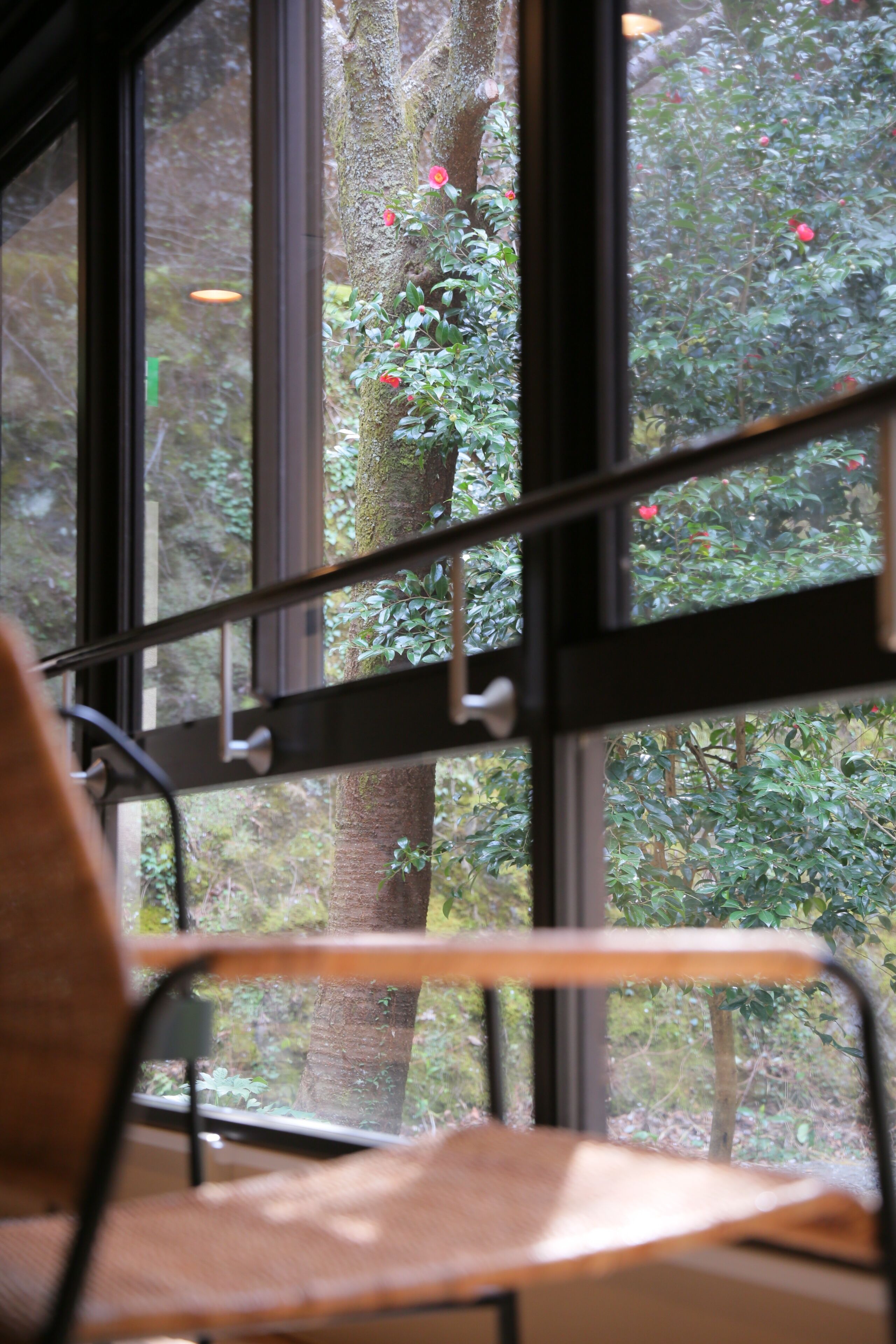 Hakone Suisen