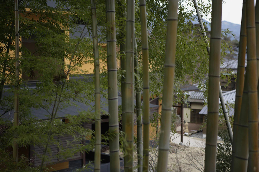 Hakone Suishoen