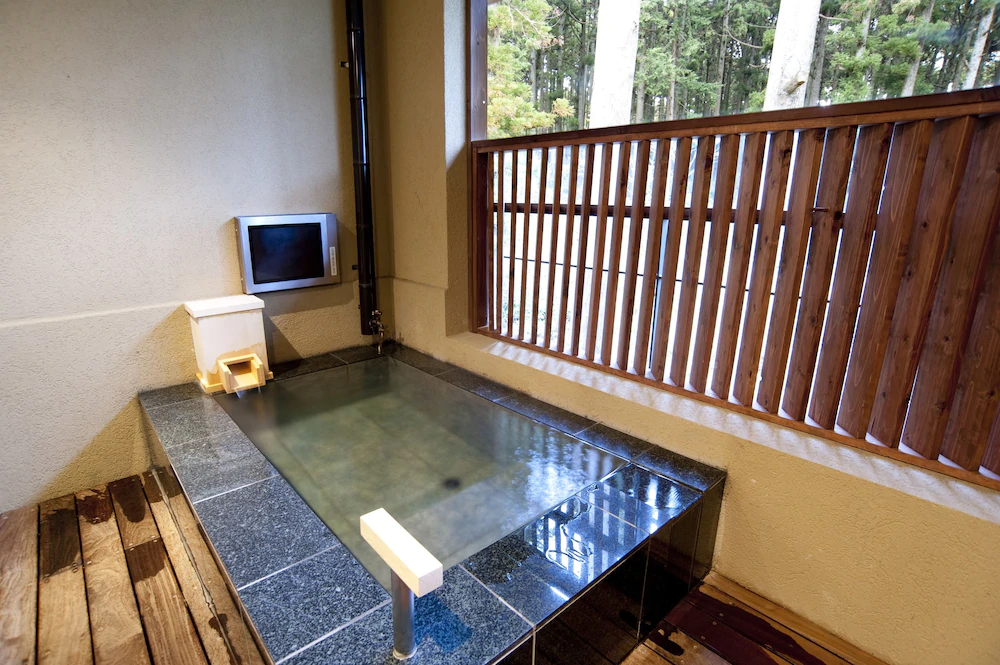 Hakone Suishoen