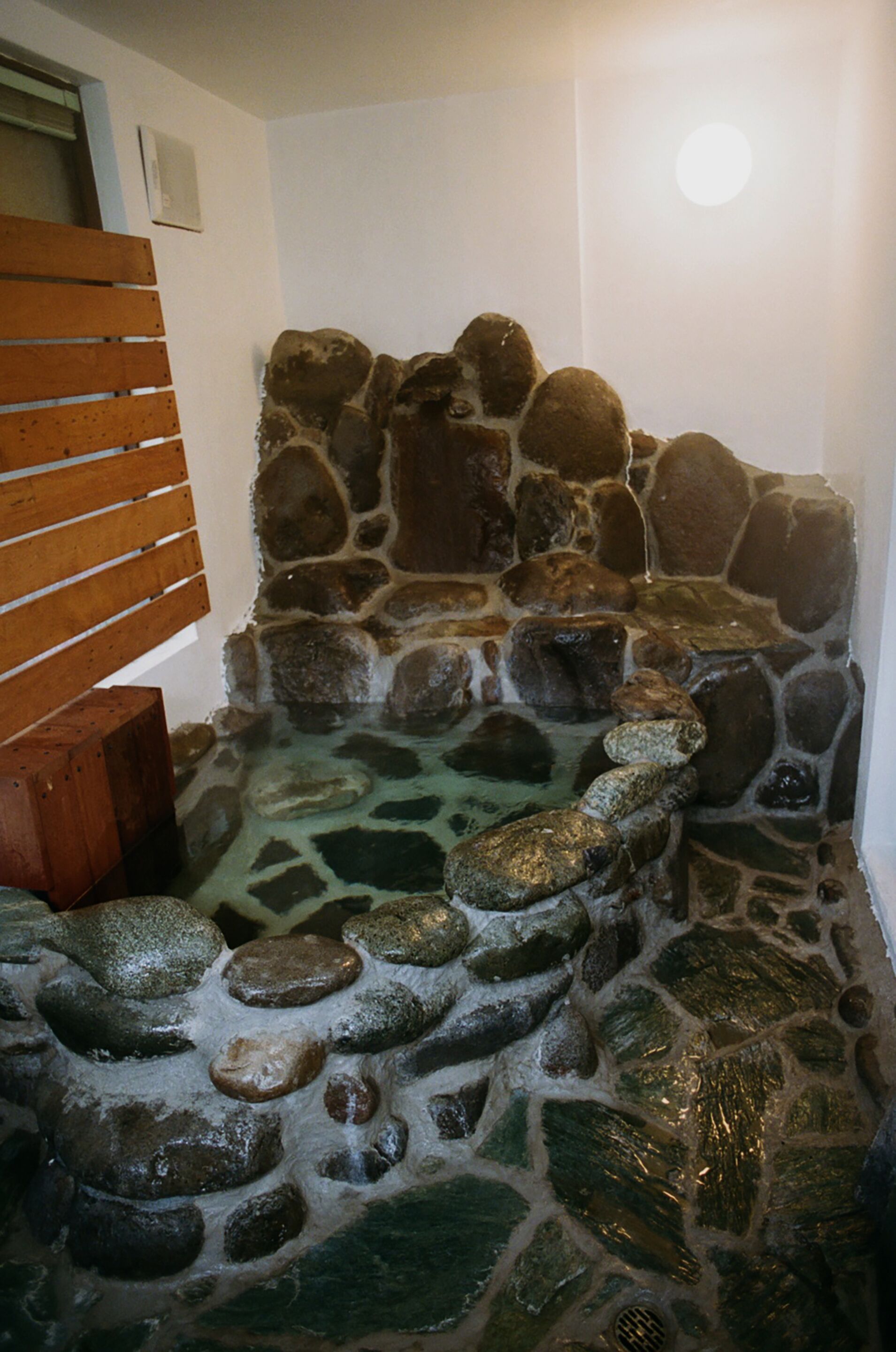 Hakonowa Hot Spring Inn