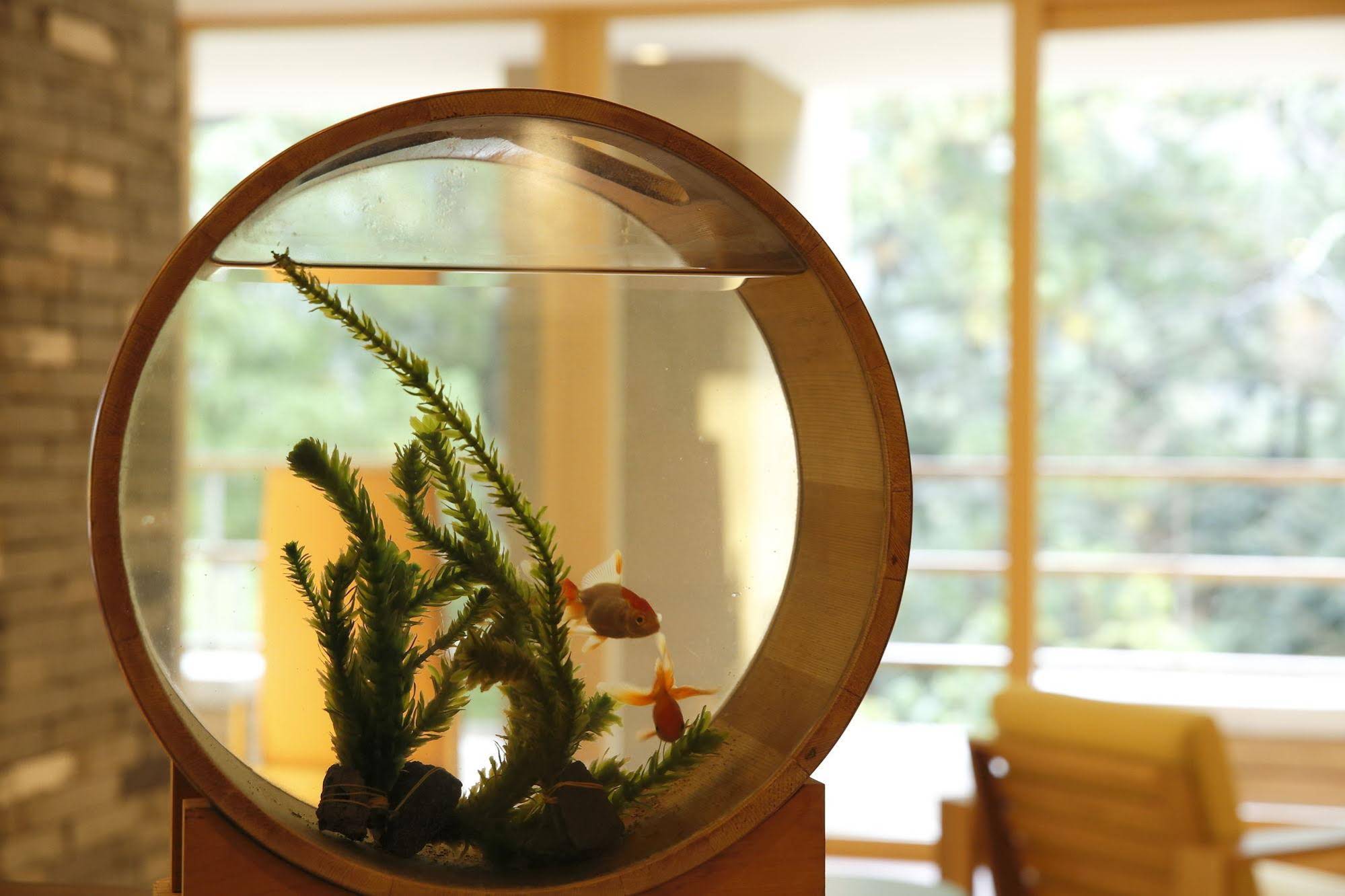 Kinnotake Tonosawa Inn