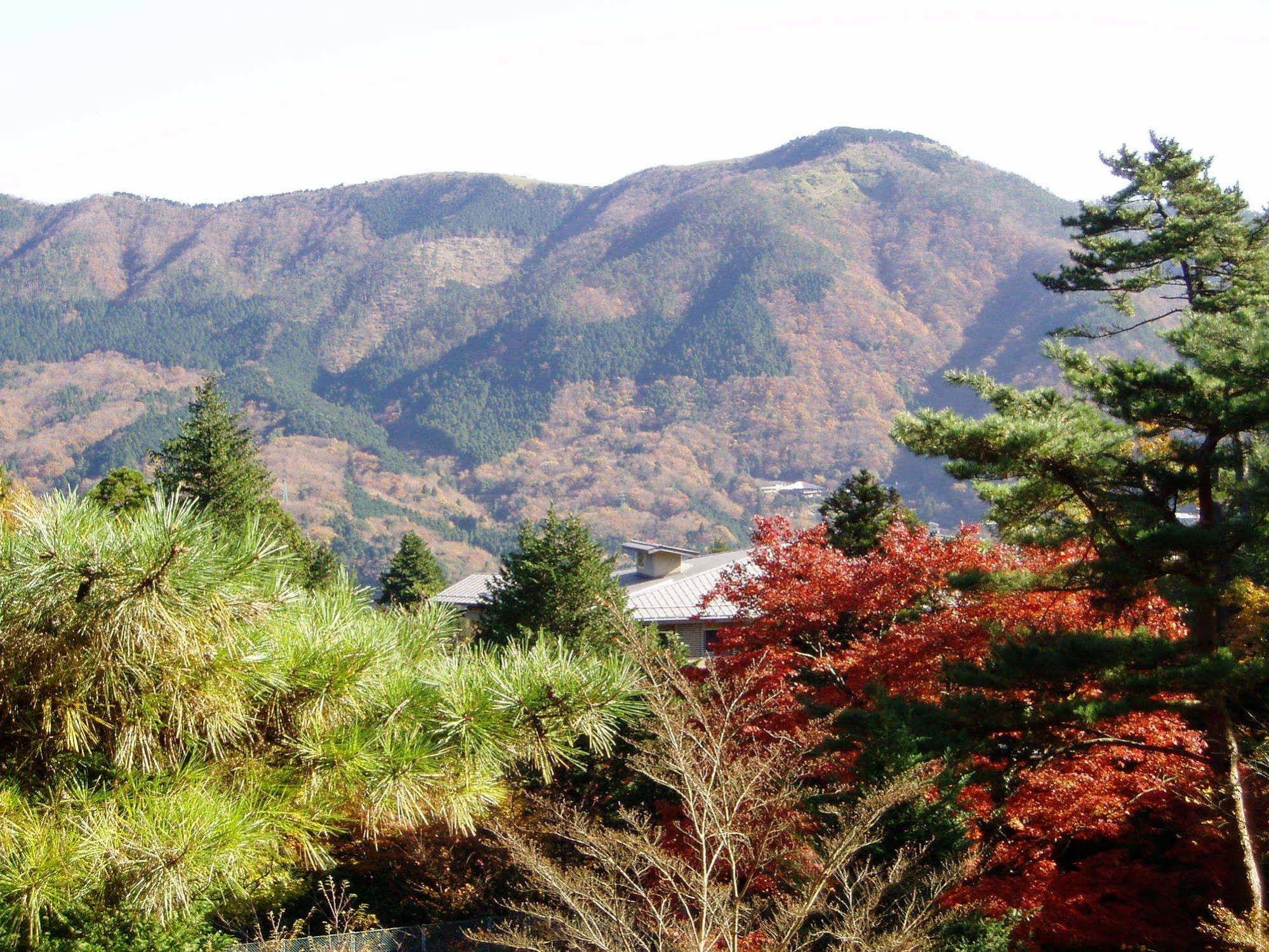 Marroad Hakone