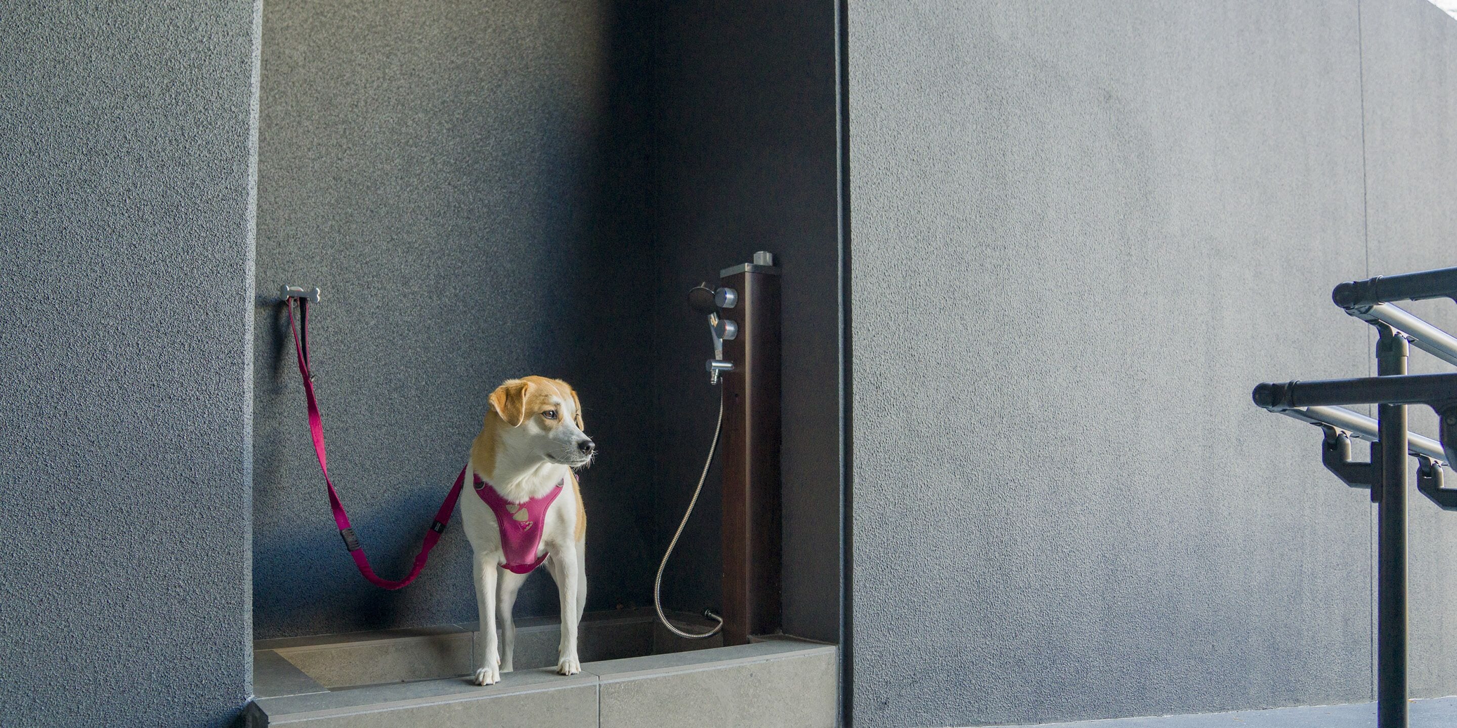 Rakuten Stay Fujimiterrace Hakone Ashinoko