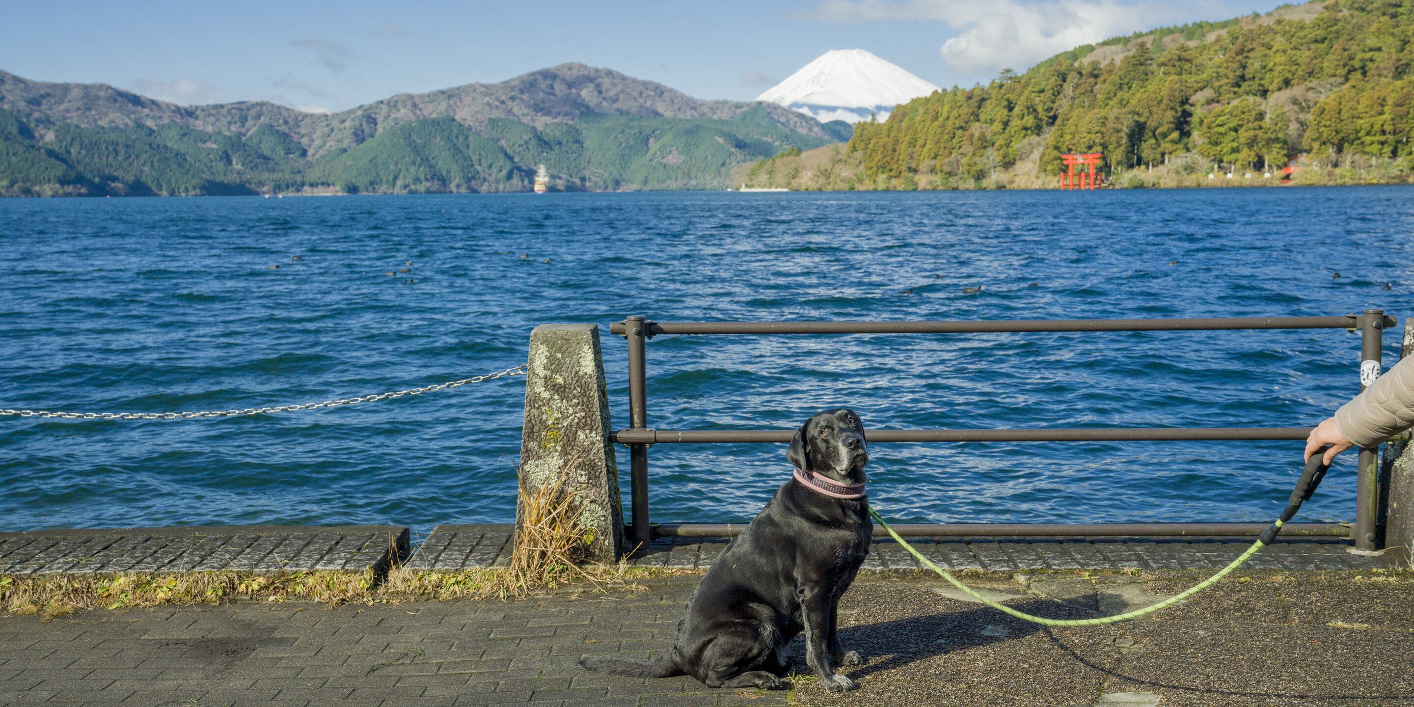 Rakuten Stay Fujimiterrace Hakone Ashinoko