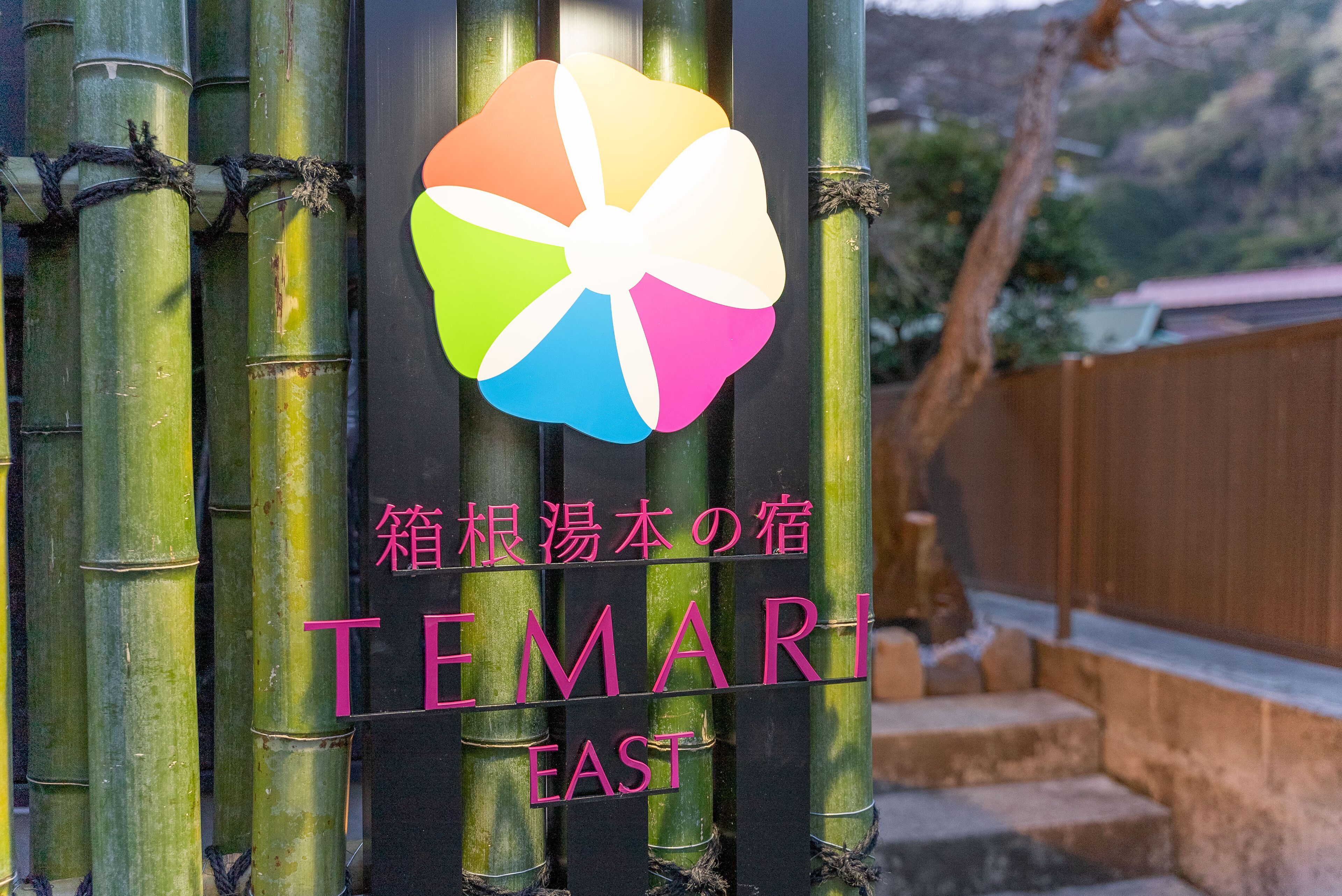 Temari