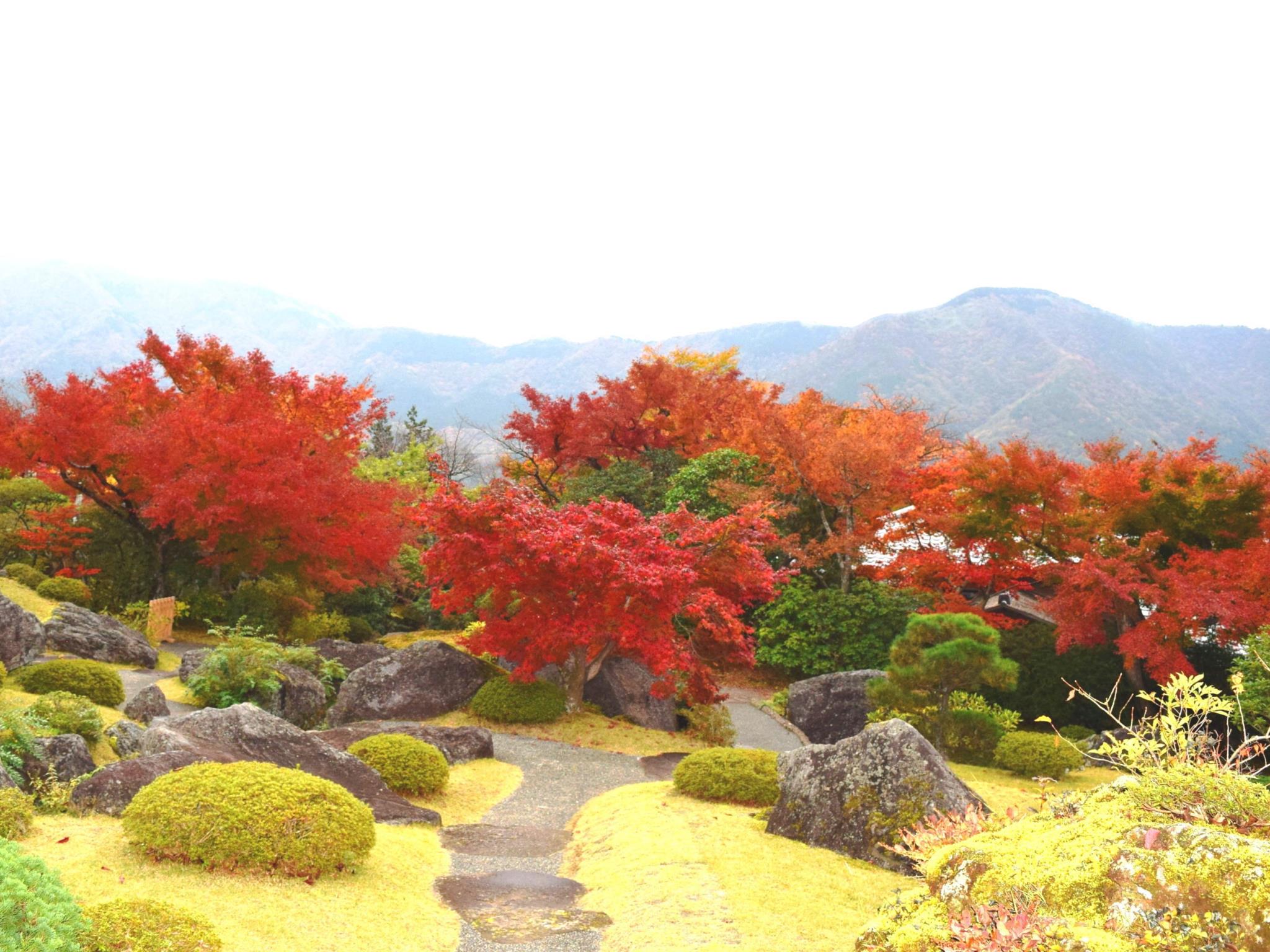 TKP Hotel & Resort Lectore Hakone Gora