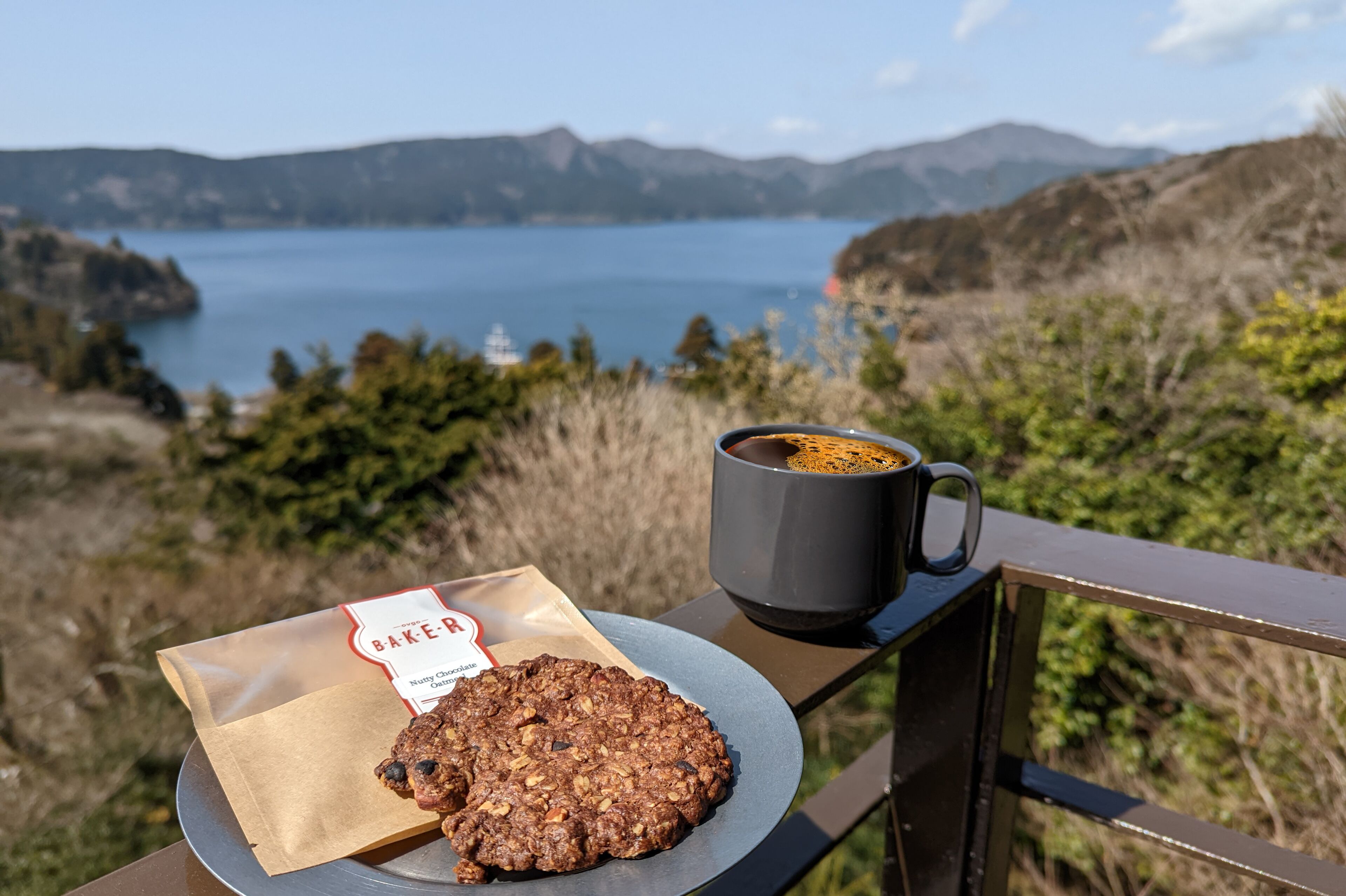 Villa Hakone Koku