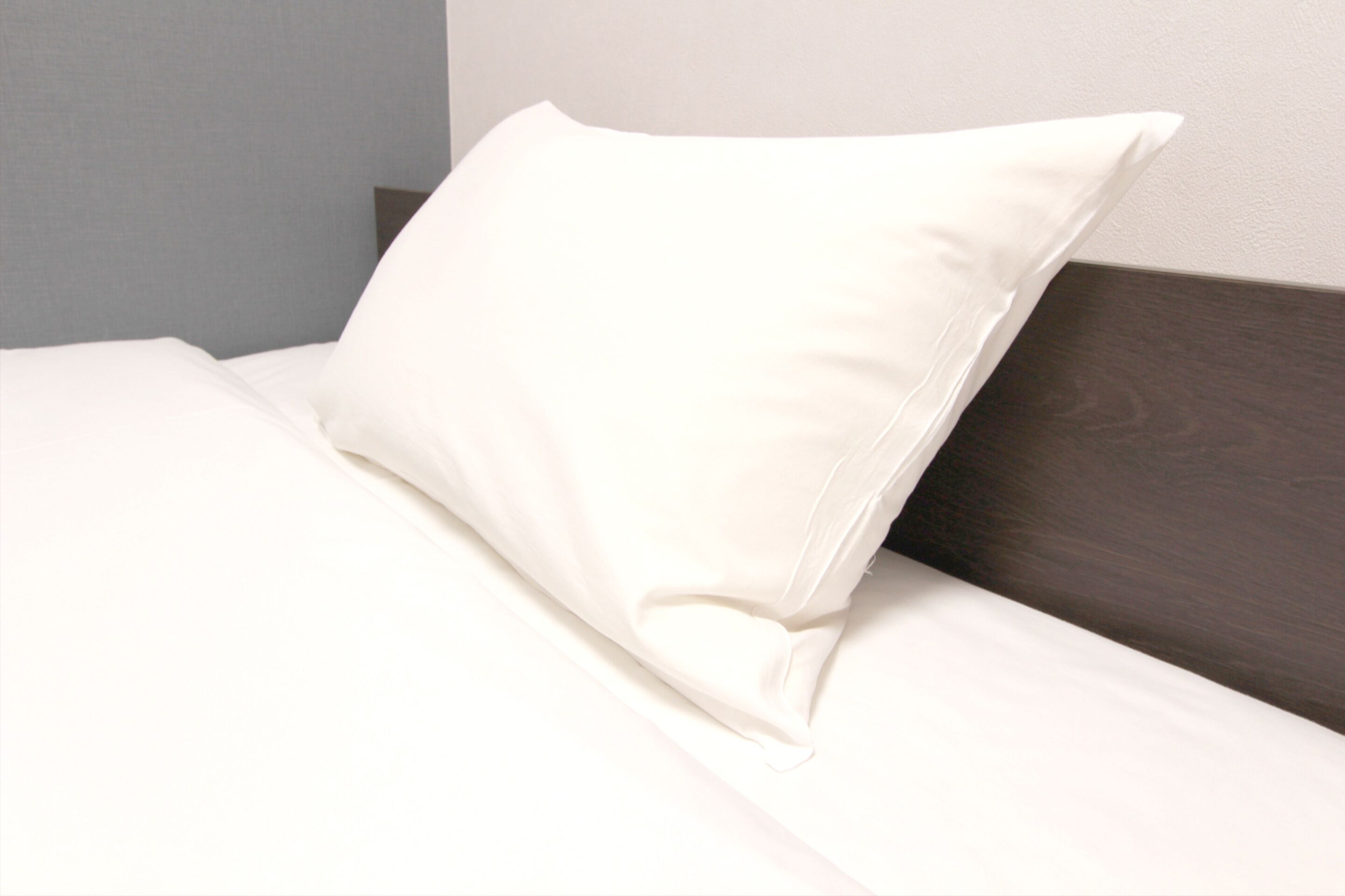 Business Hotel Mercury Royal Inn Group