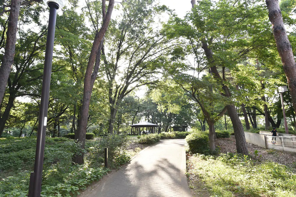 West Kumegawa