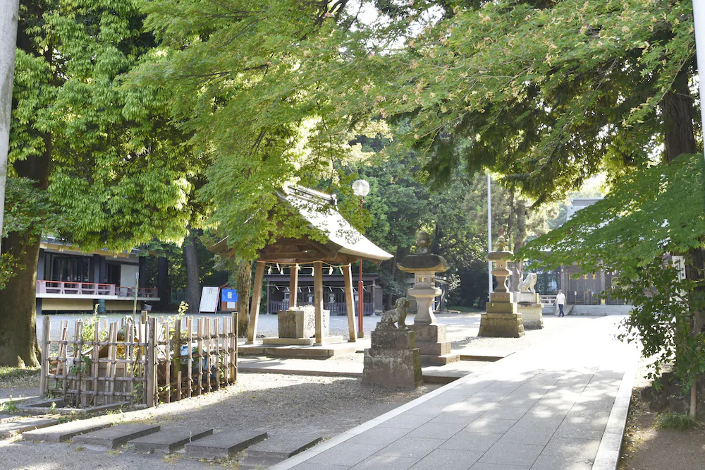 West Kumegawa