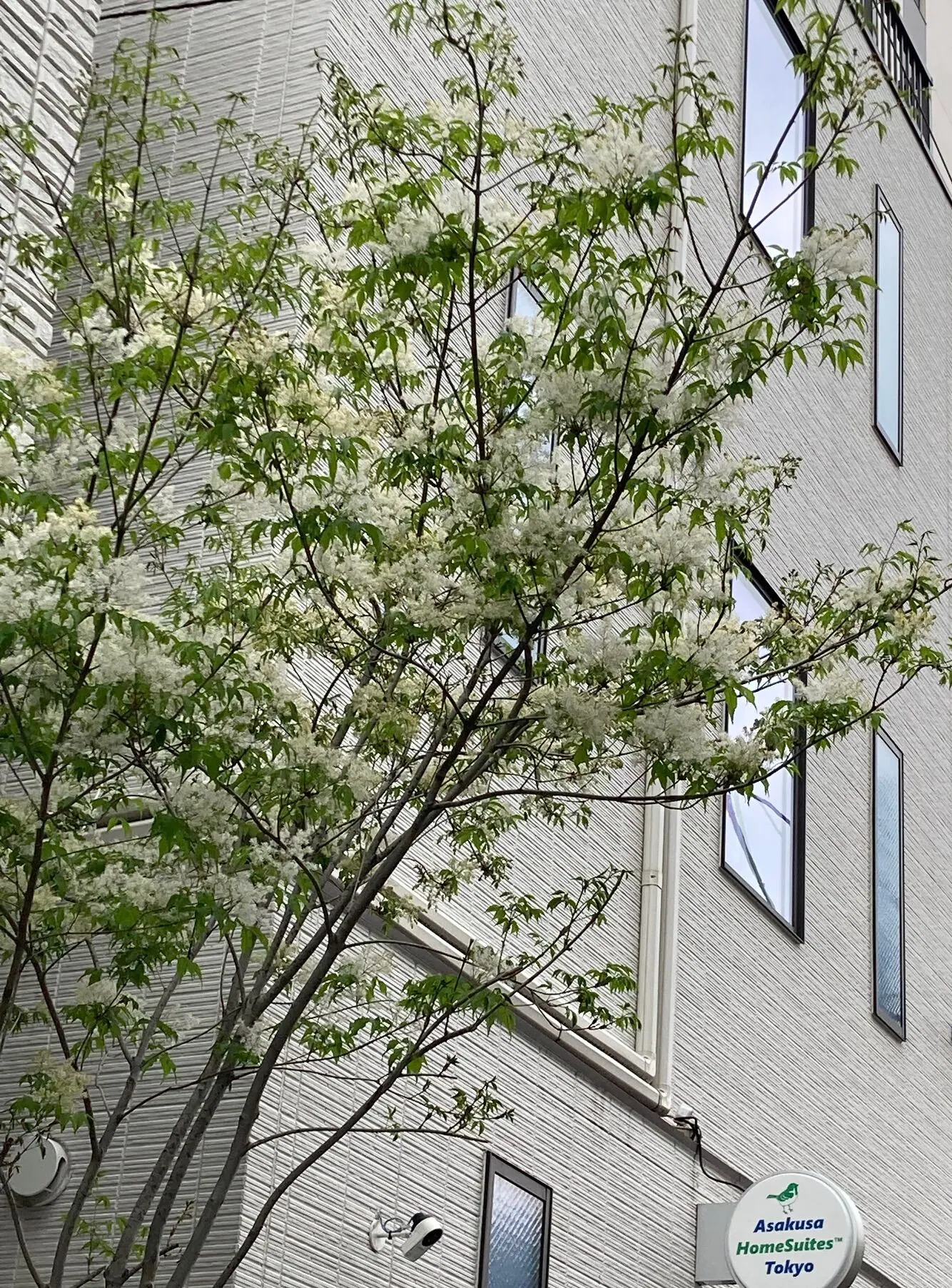 Asakusa Home Suites Tokyo