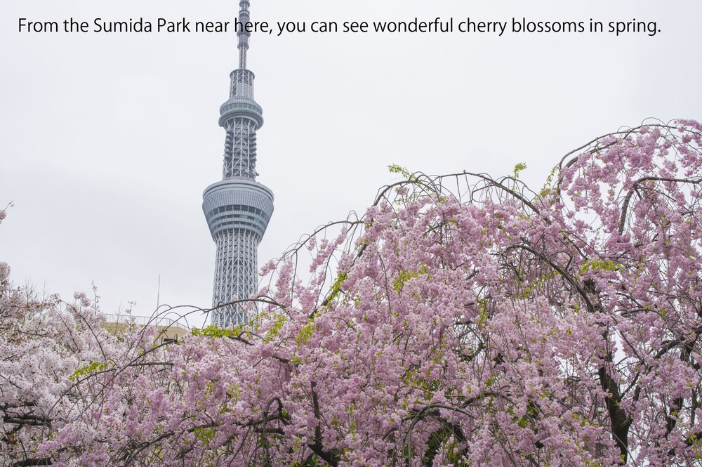 Asakusa Shinobi House