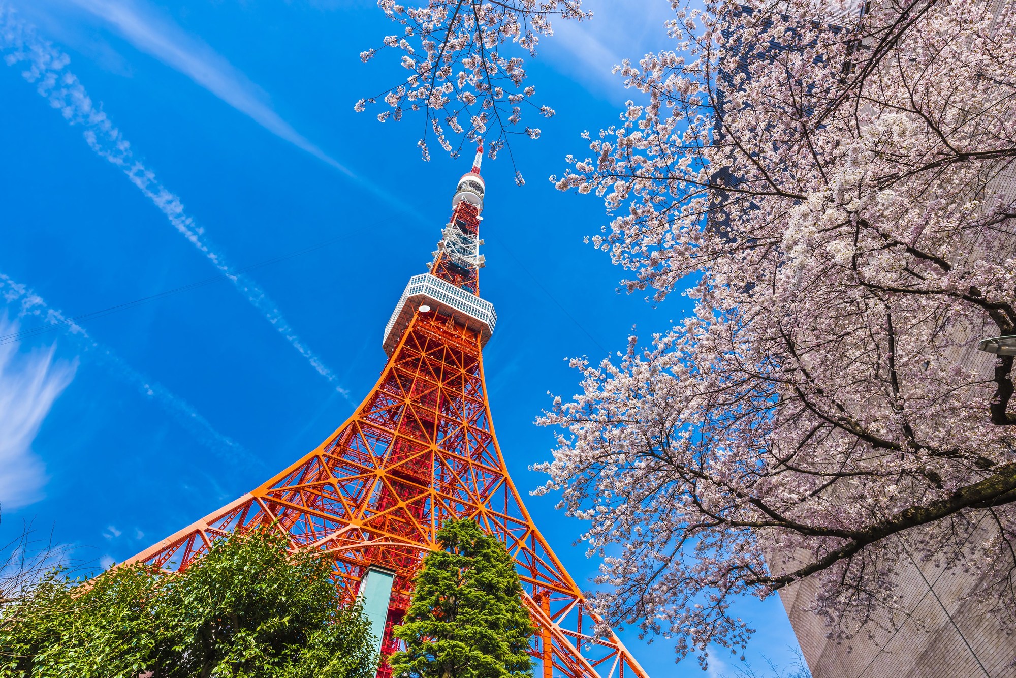 Candeo Hotels Tokyo Shimbashi