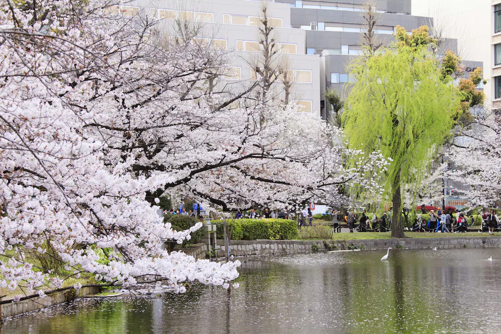 Centurion Ladies Hostel Ueno Park