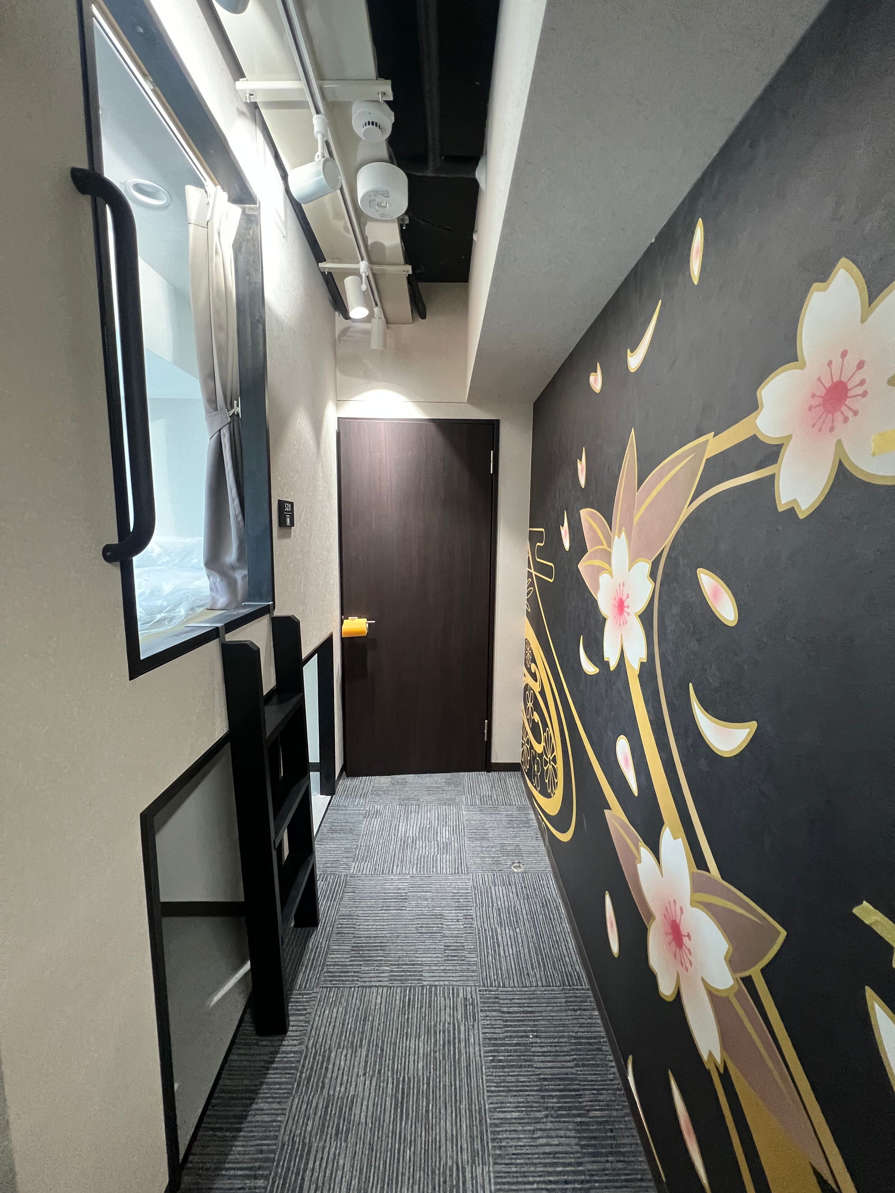 Hotel Winds Asakusa Capsule Inn  Hostel