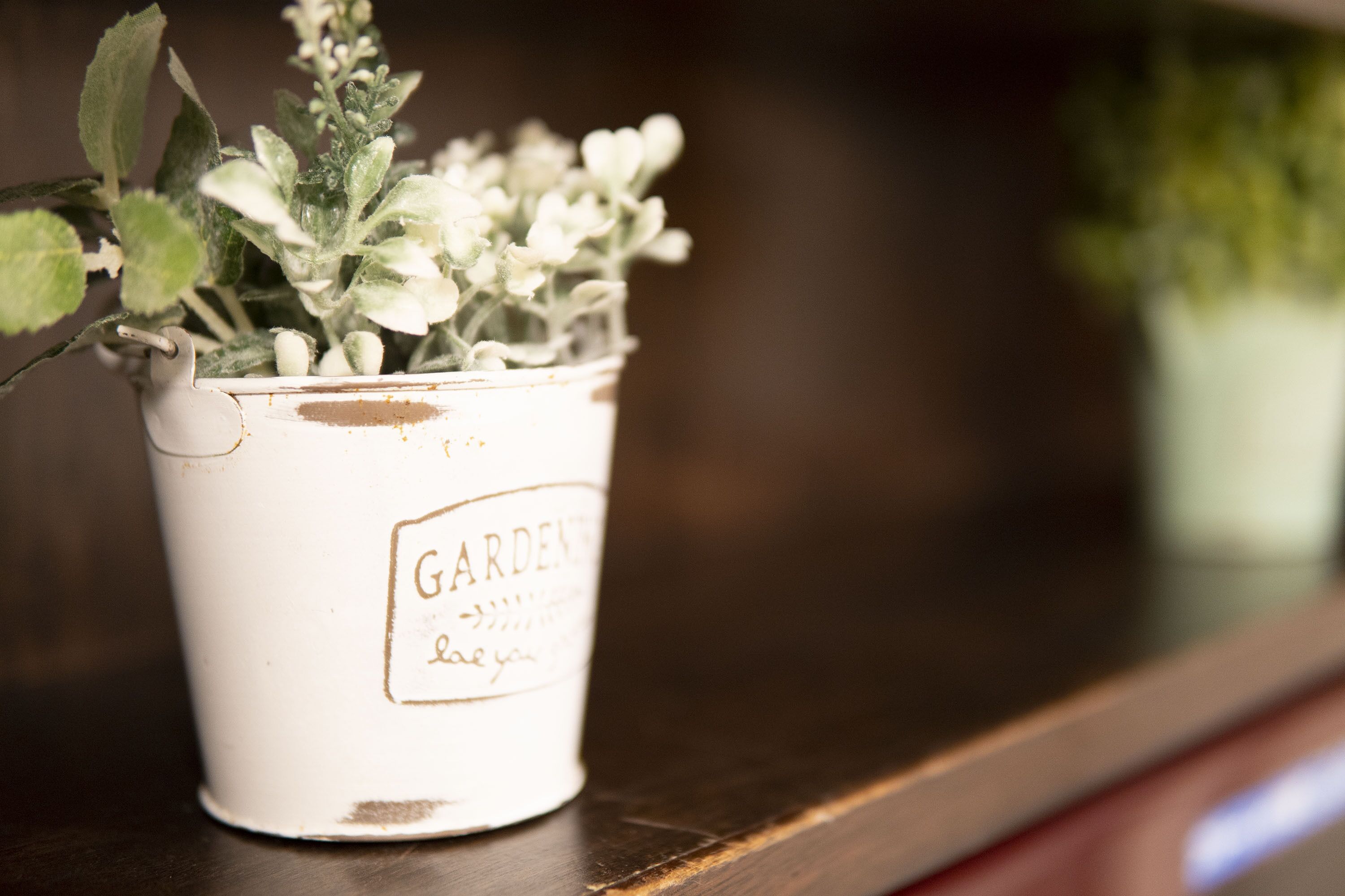 Jardin
