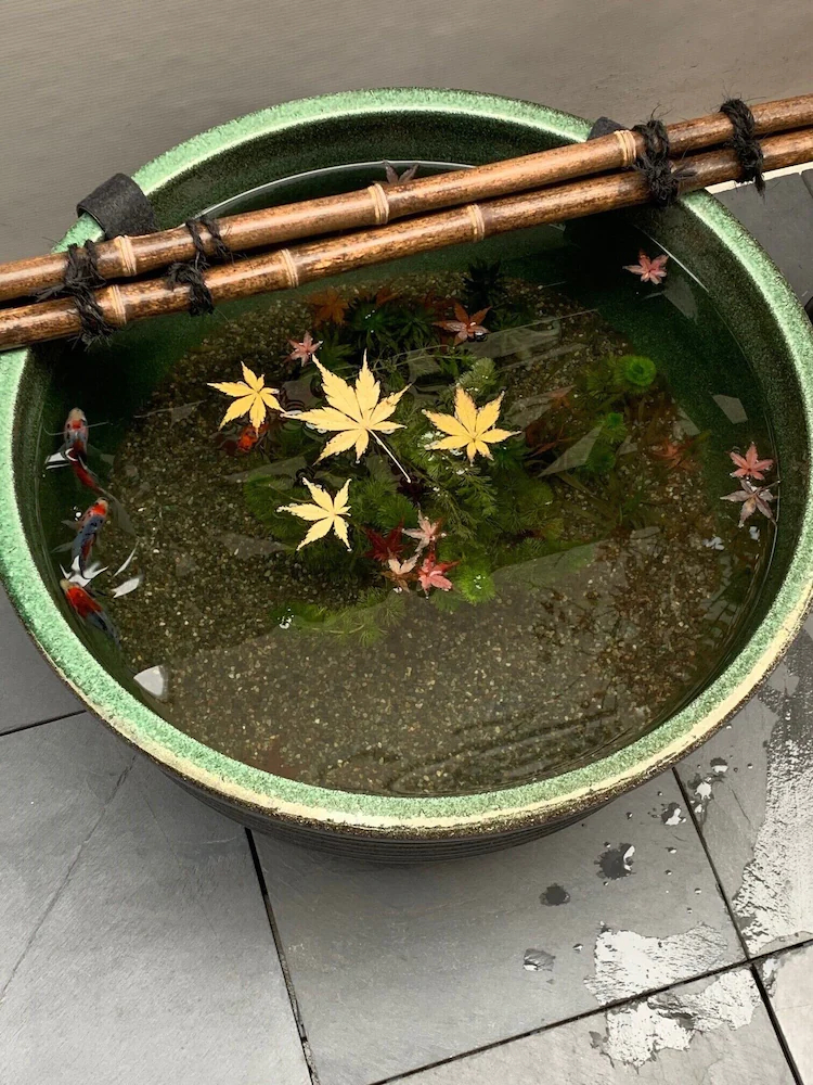 Shinjuku Miyabi Residence