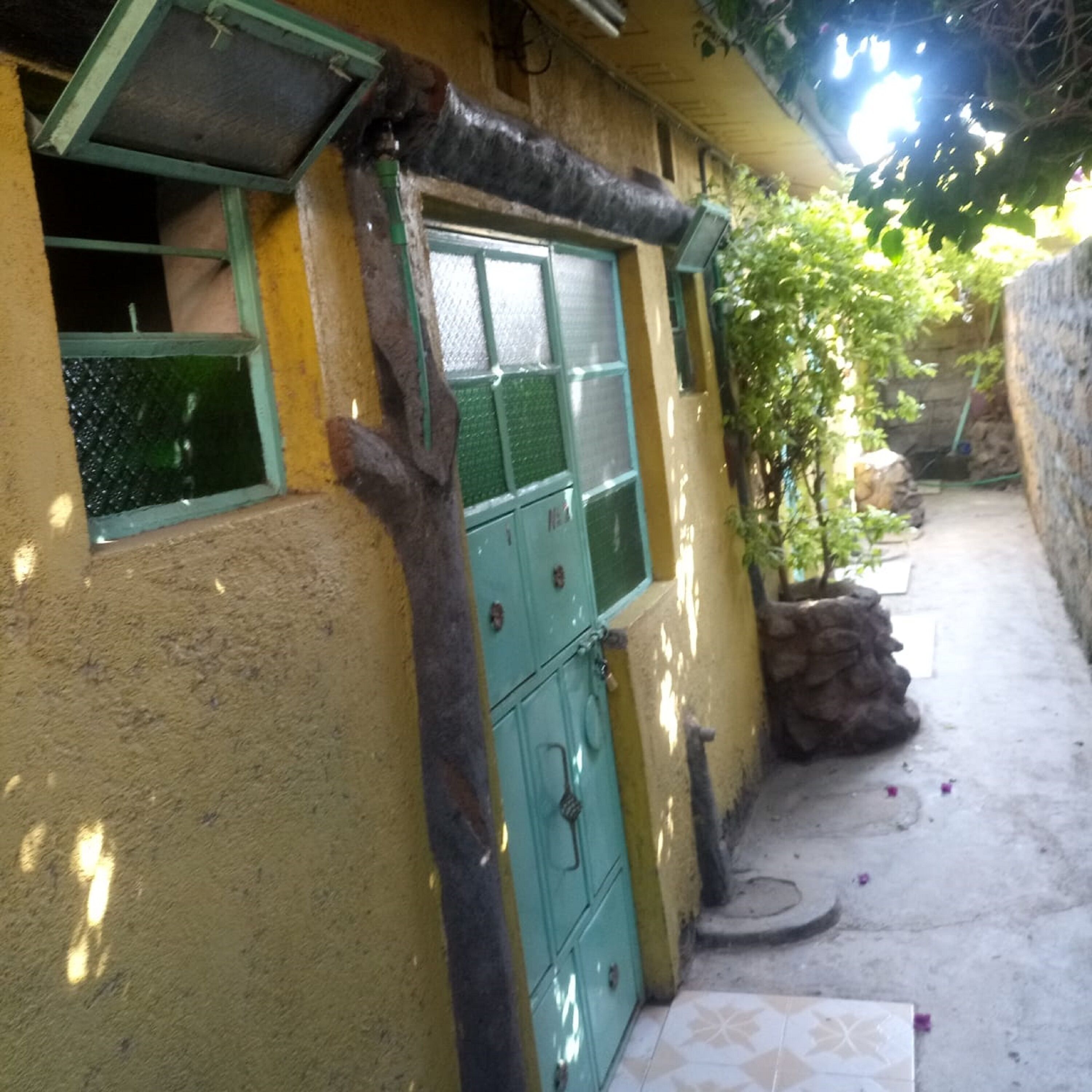 Venus lodge