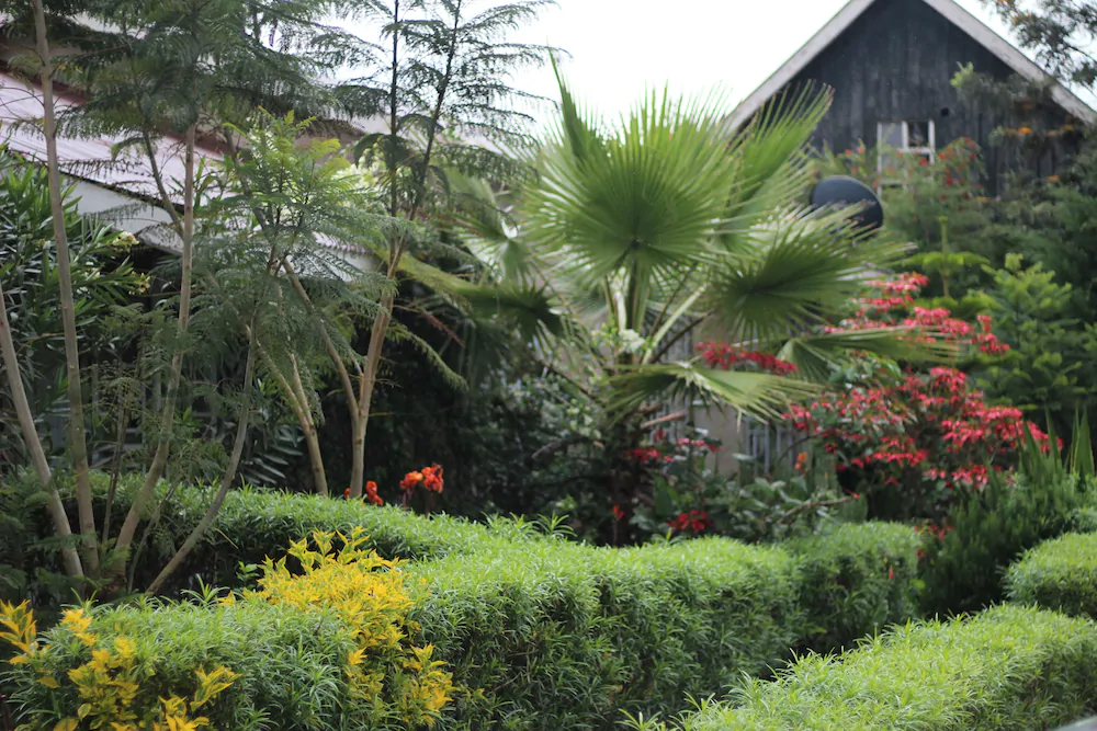 Africana Yard