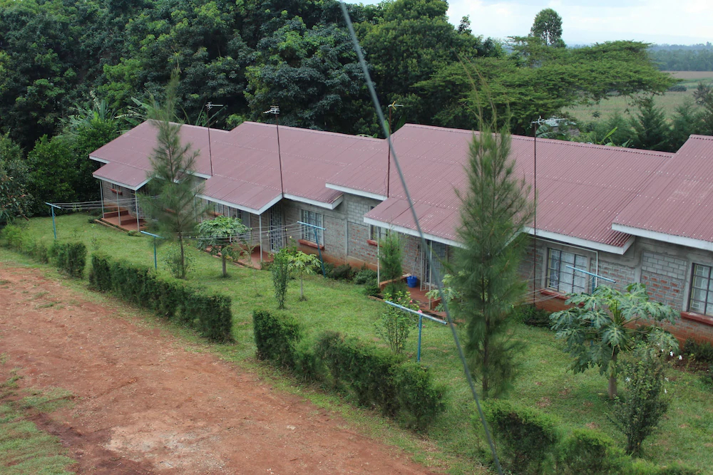 Africana Yard