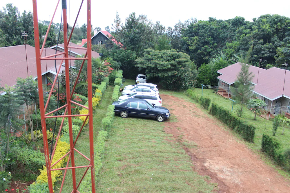 Africana Yard