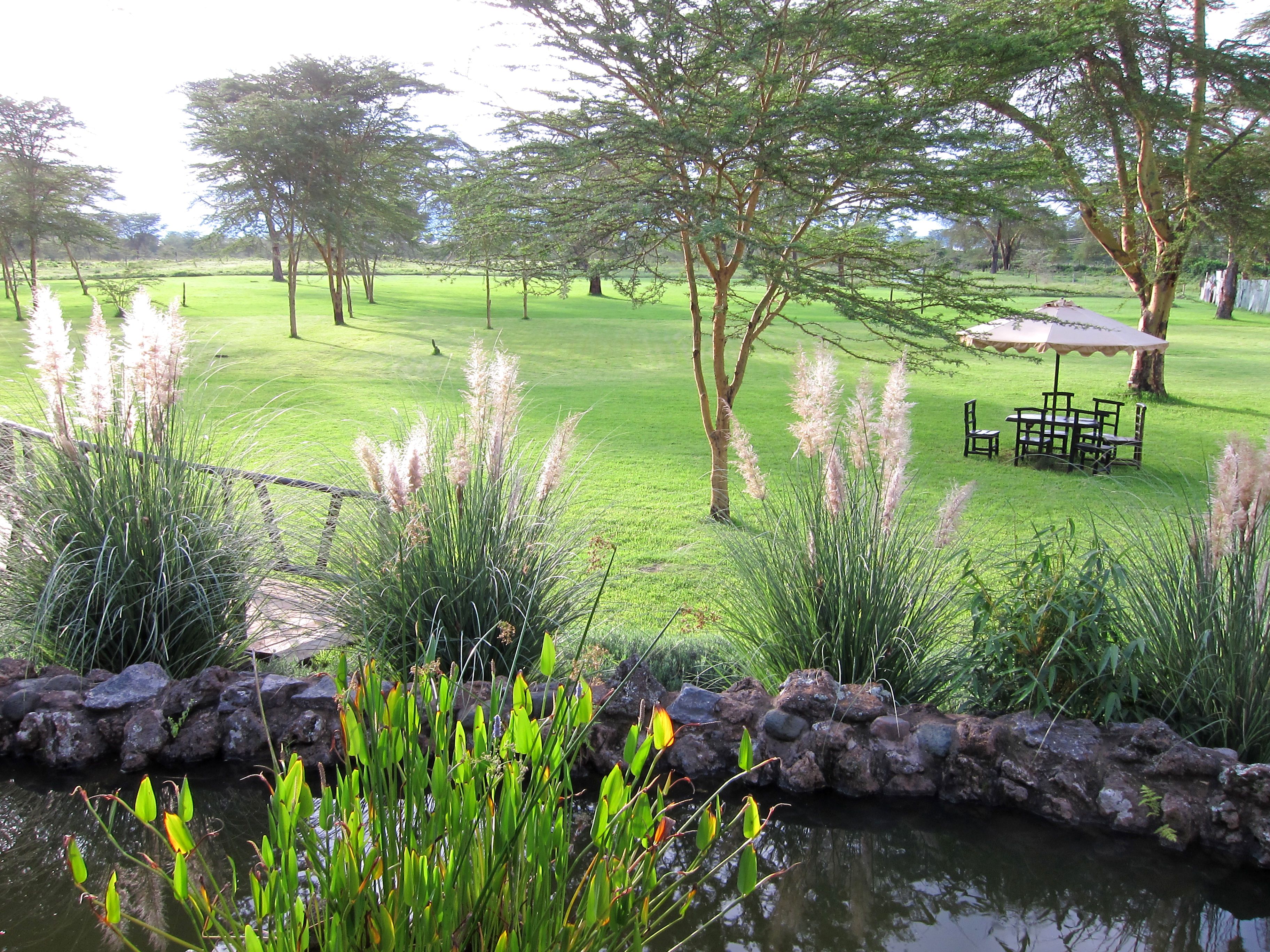 Sawela Lodges Lake Naivasha