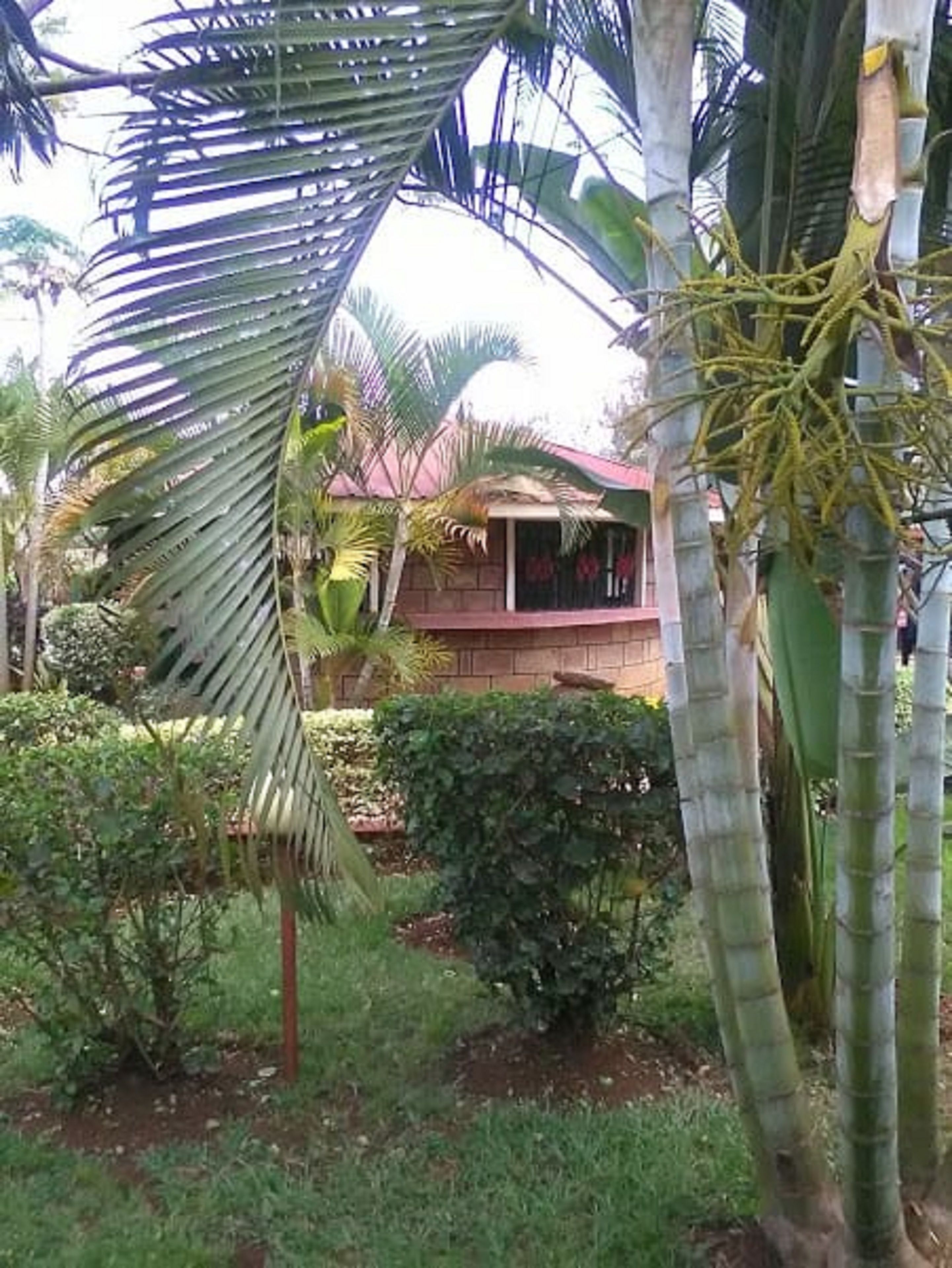 Jambo Village Hotel