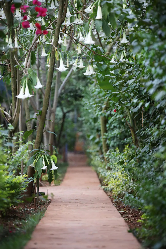 Anga Afrika Luxury Tented Camp Nairobi