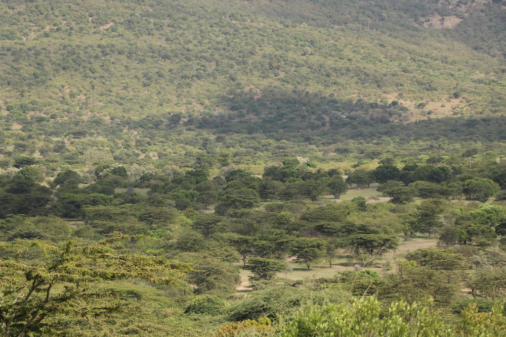 Elangata Olerai Luxury Tented Camp