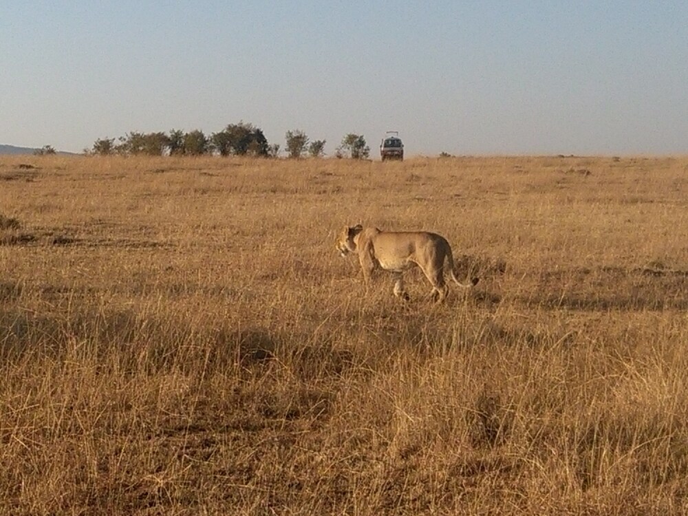 Elangata Olerai Luxury Tented Camp